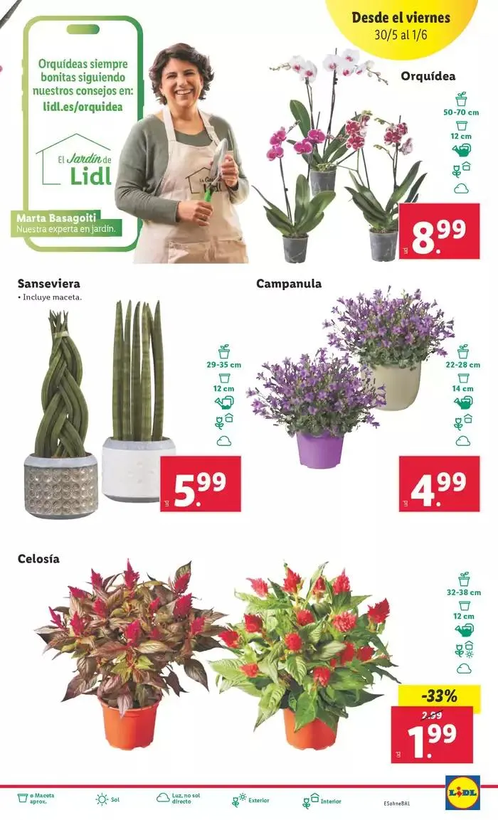 Catálogo de № 1 PRECIO - Ofertas válidas del 26/05 al 01/06 26 de mayo al 1 de junio 2025 - Página 40