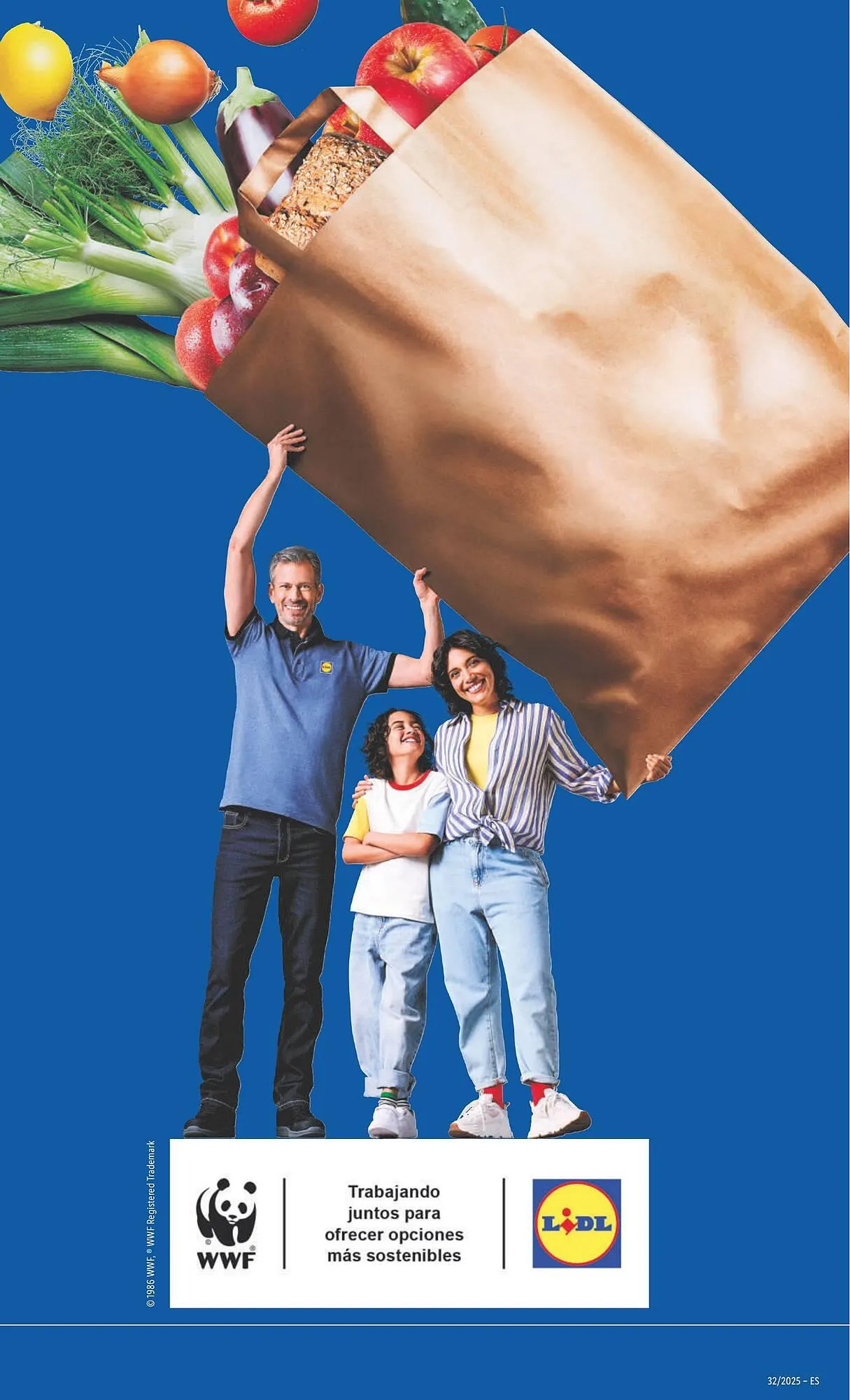 Catálogo de Folleto Lidl 4 de agosto al 10 de agosto 2025 - Página 63