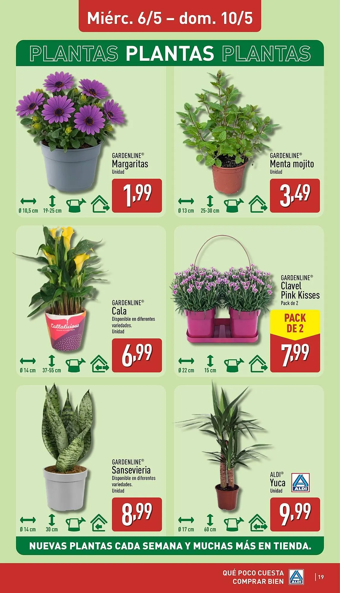Catálogo de Folleto ALDI 4 de mayo al 10 de mayo 2026 - Página 19