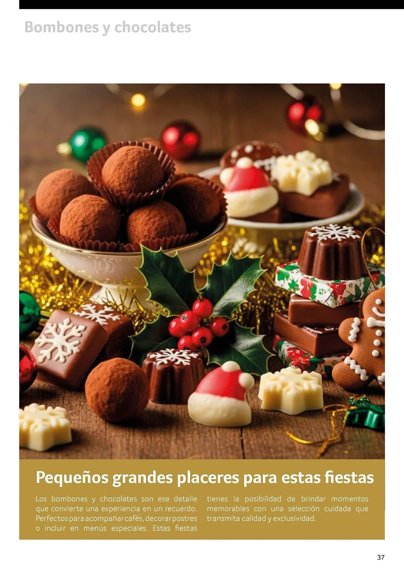 Catálogo de Folleto GM Cash & Carry 30 de septiembre al 31 de diciembre 2025 - Página 37