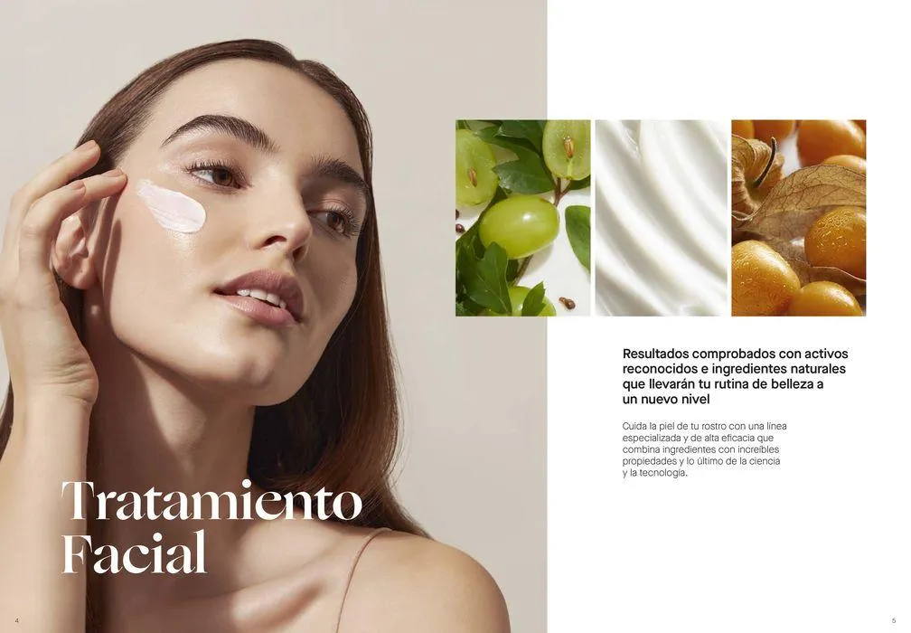 Catálogo de CATÁLOGO ANUAL 2024 12 de junio al 31 de diciembre 2024 - Página 3