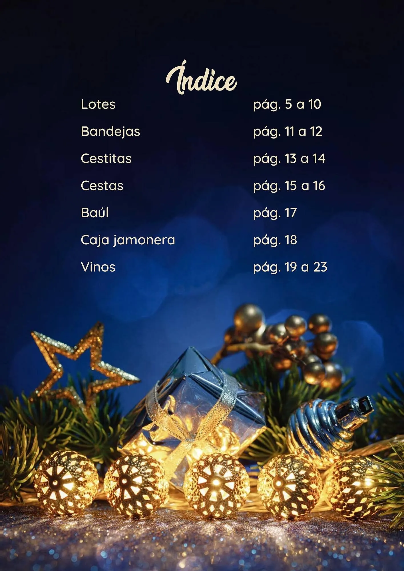 Catálogo de Folleto SPAR Gran Canaria 31 de octubre al 24 de diciembre 2024 - Página 3