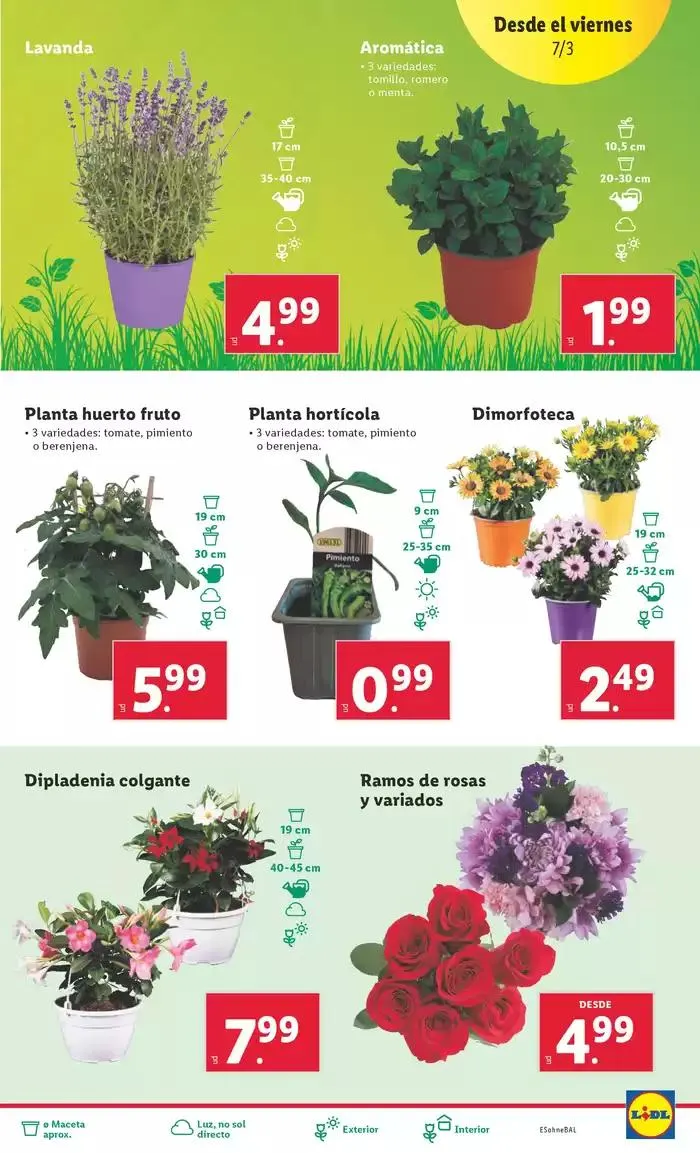 Catálogo de ¡Bazar Lidl! Ofertas válidas del 03/03 al 09/03 3 de marzo al 9 de marzo 2025 - Página 9