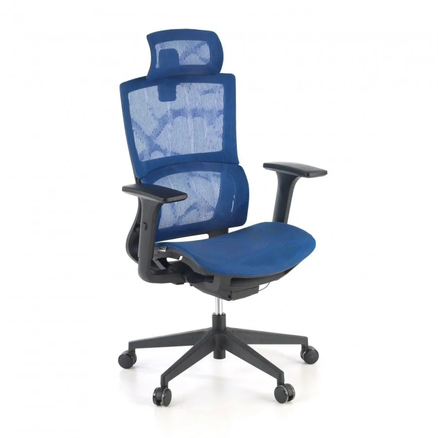 Silla Ergonómica Winter, Soporte lumbar, Reposacabezas - Azul