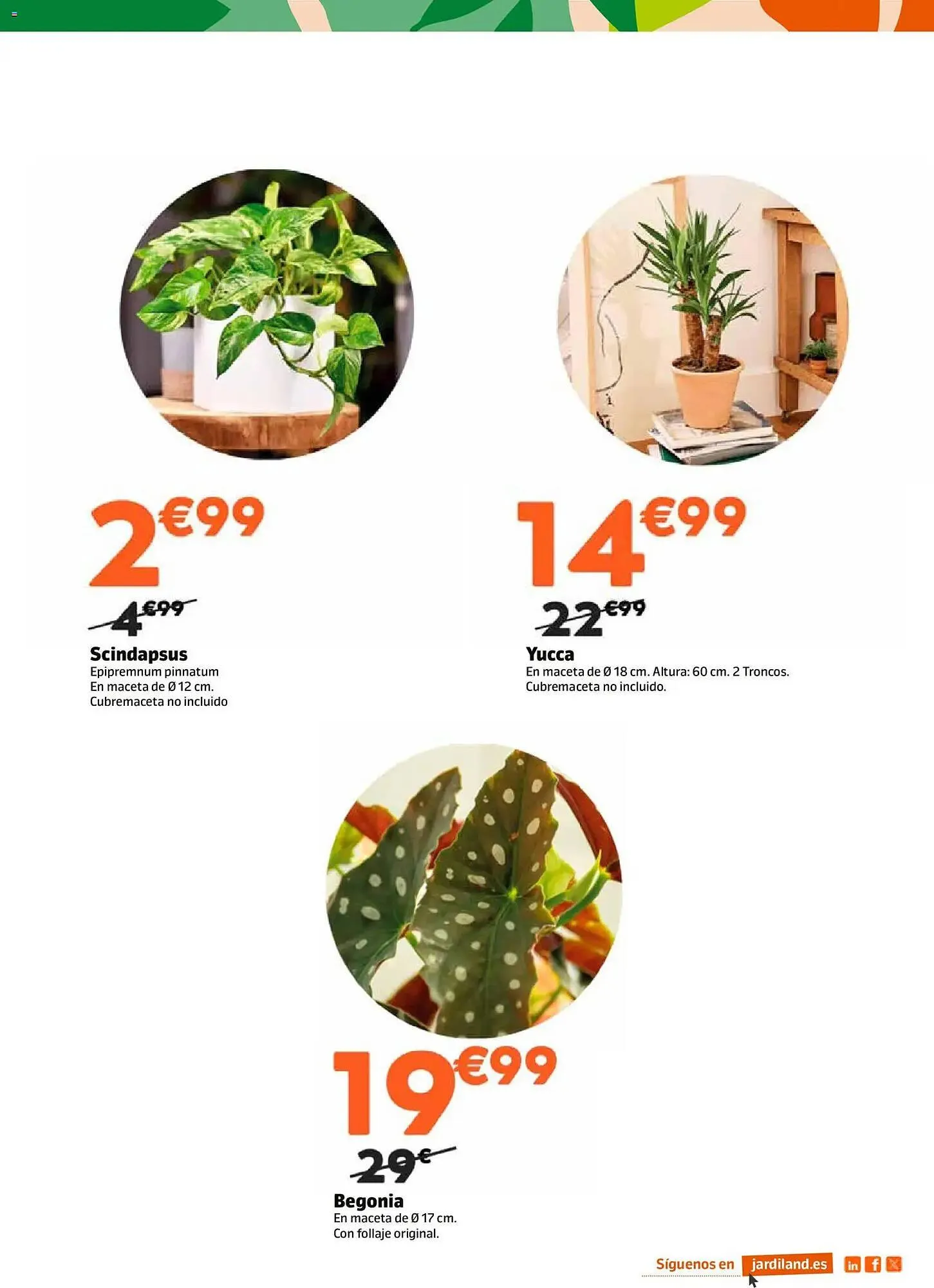 Catálogo de Catálogo Jardiland 15 de enero al 1 de febrero 2026 - Página 7