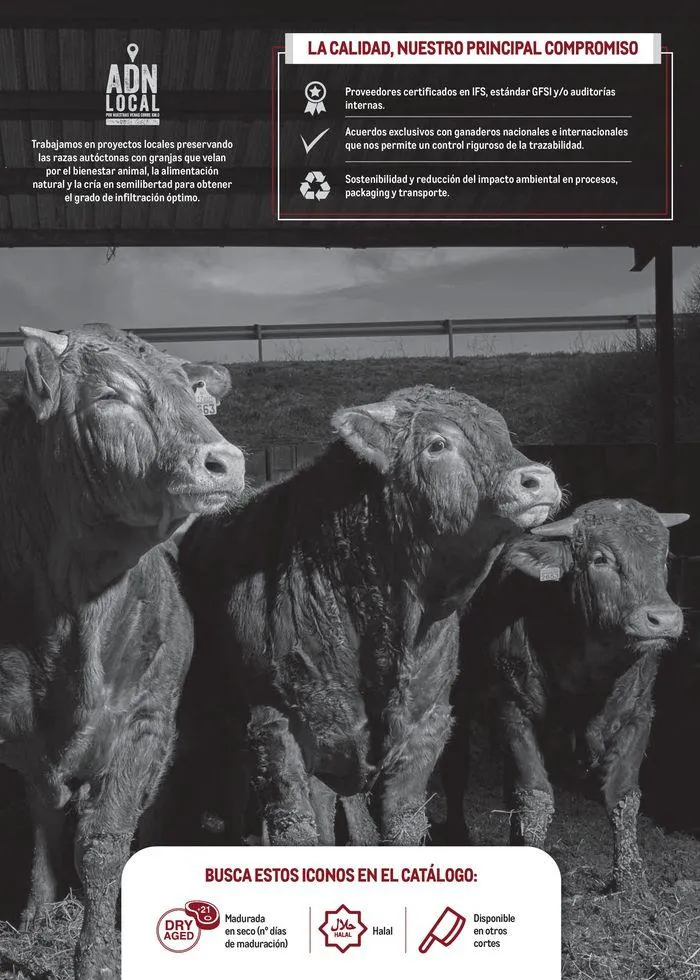 Catálogo de Especial Carnes Península 12 de junio al 31 de diciembre 2024 - Página 2