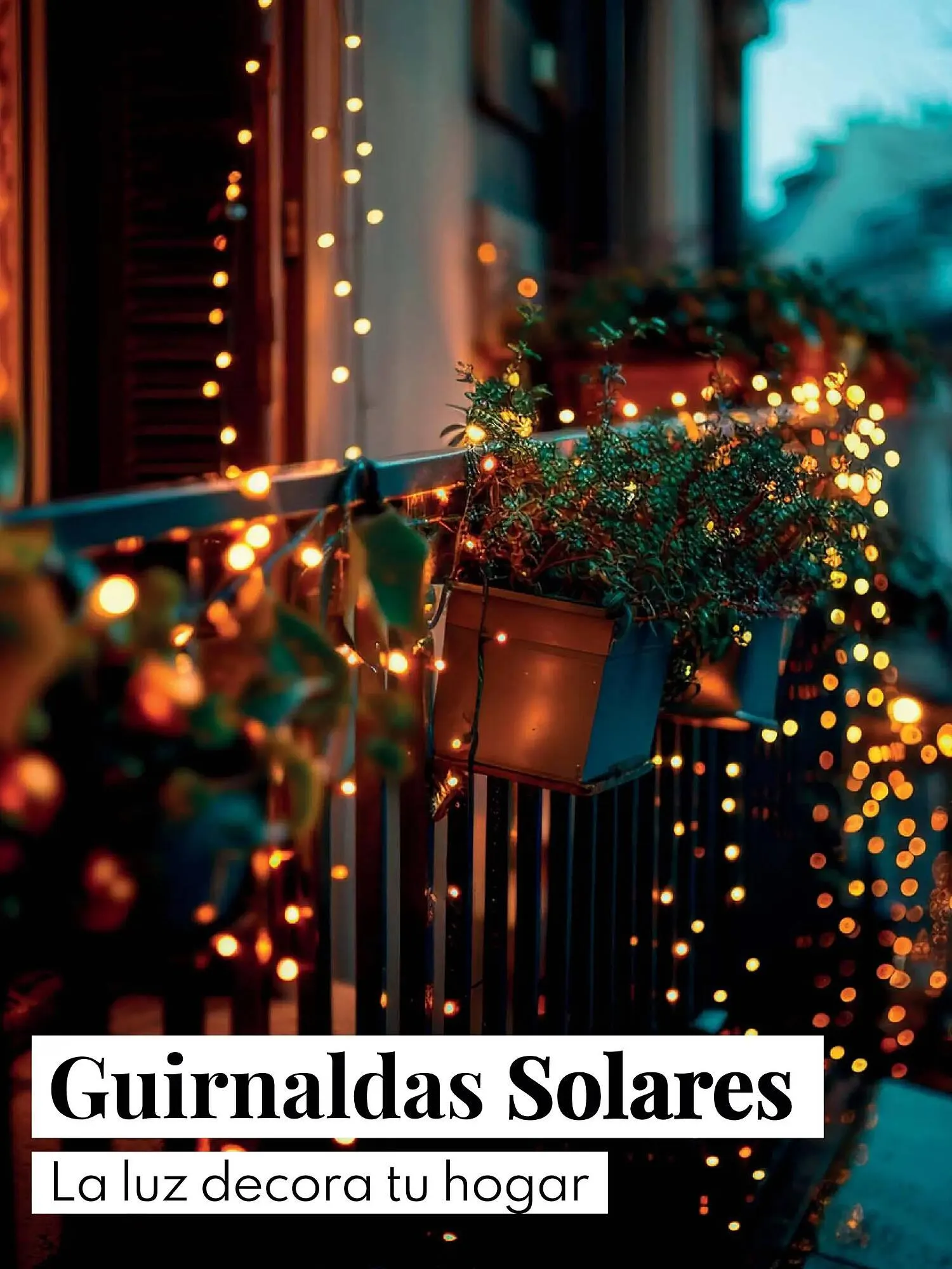 Catálogo de Folleto BricoCentro 26 de octubre al 8 de diciembre 2025 - Página 10