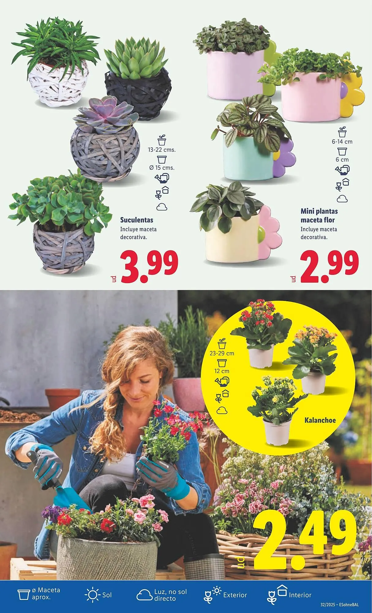 Catálogo de Folleto Lidl 4 de agosto al 10 de agosto 2025 - Página 65