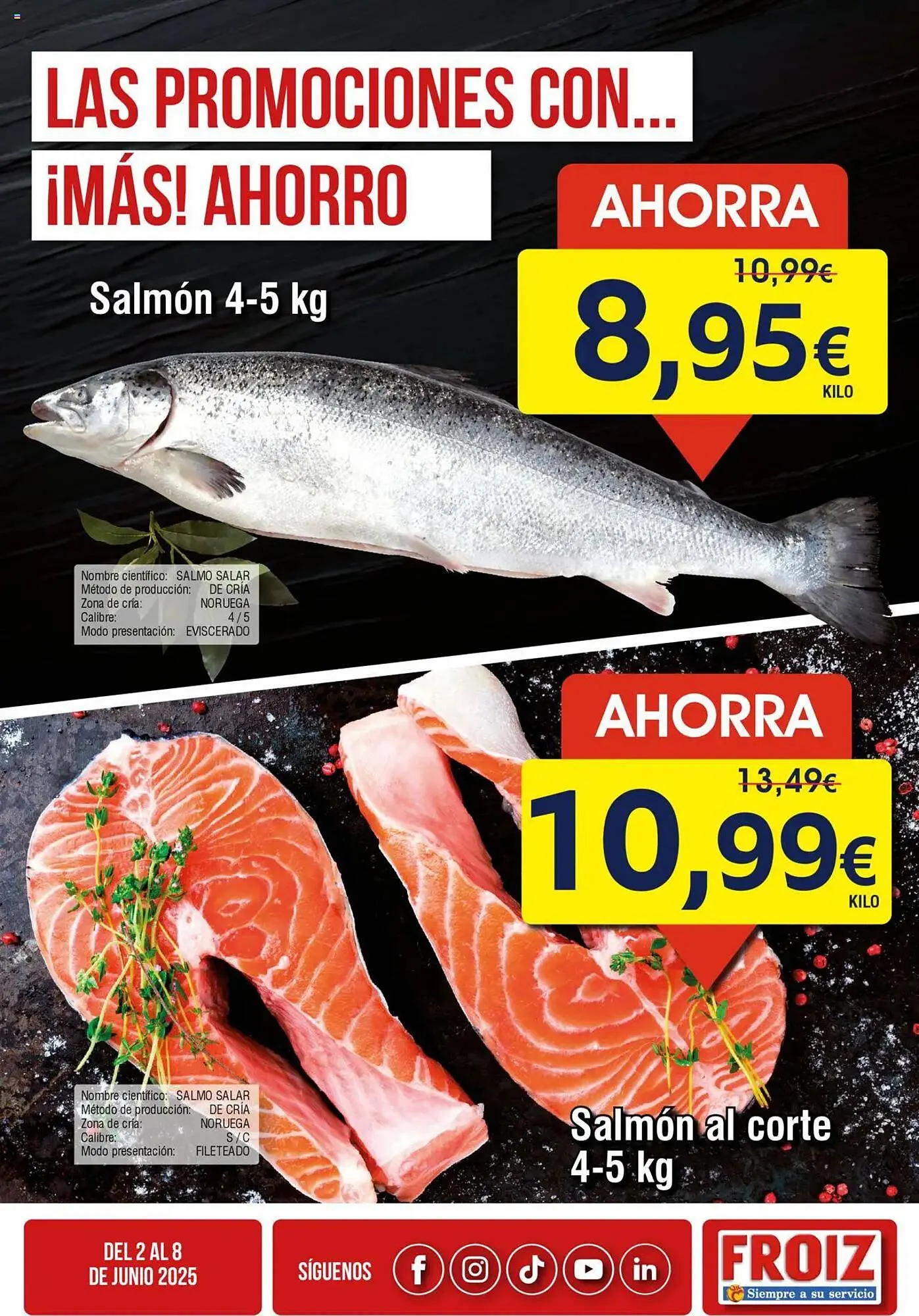 Catálogo de Folleto FROIZ 2 de junio al 8 de junio 2025 - Página 2