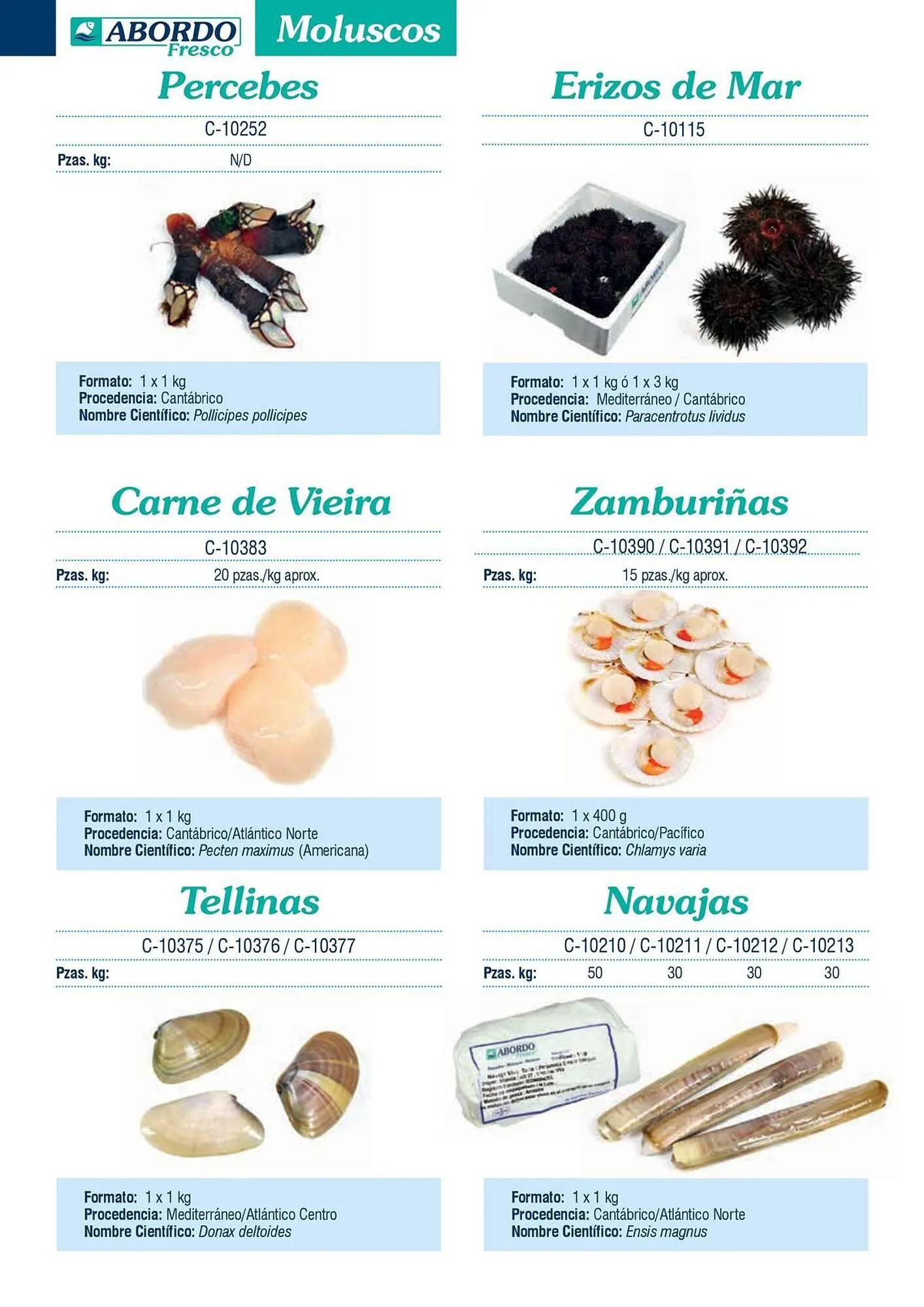 Catálogo de Folleto Abordo 5 de marzo al 30 de junio 2026 - Página 28