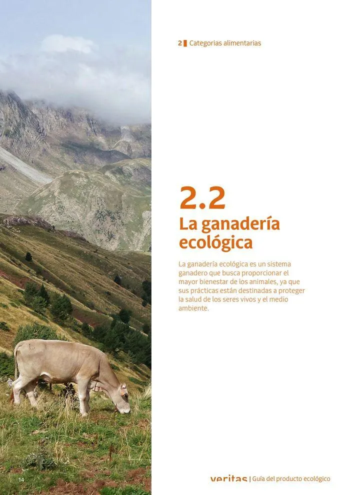 Catálogo de Veritas ABC productos ecológicos 2 de septiembre al 31 de diciembre 2024 - Página 14