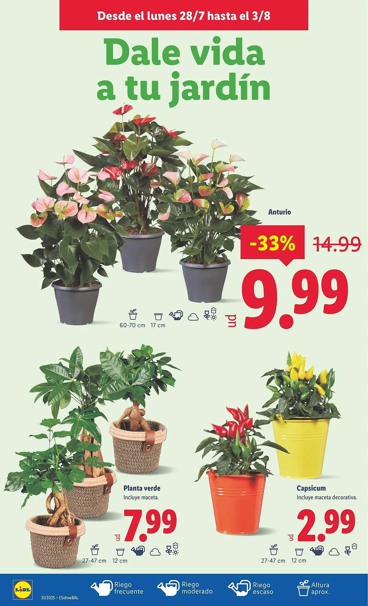 Catálogo de Folleto Lidl 28 de julio al 3 de agosto 2025 - Página 26