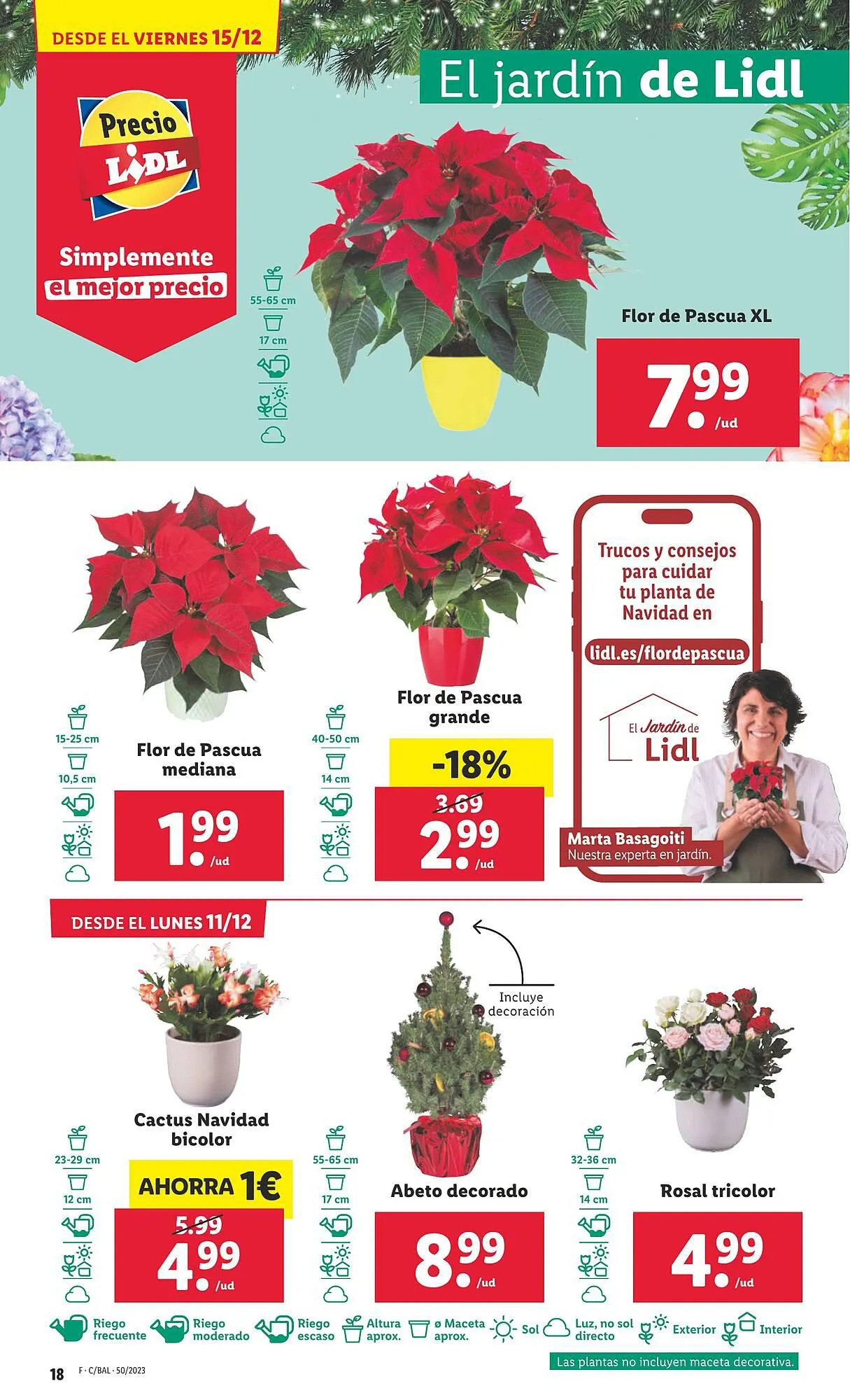 Catálogo de Folleto Lidl 11 de diciembre al 17 de diciembre 2023 - Página 42