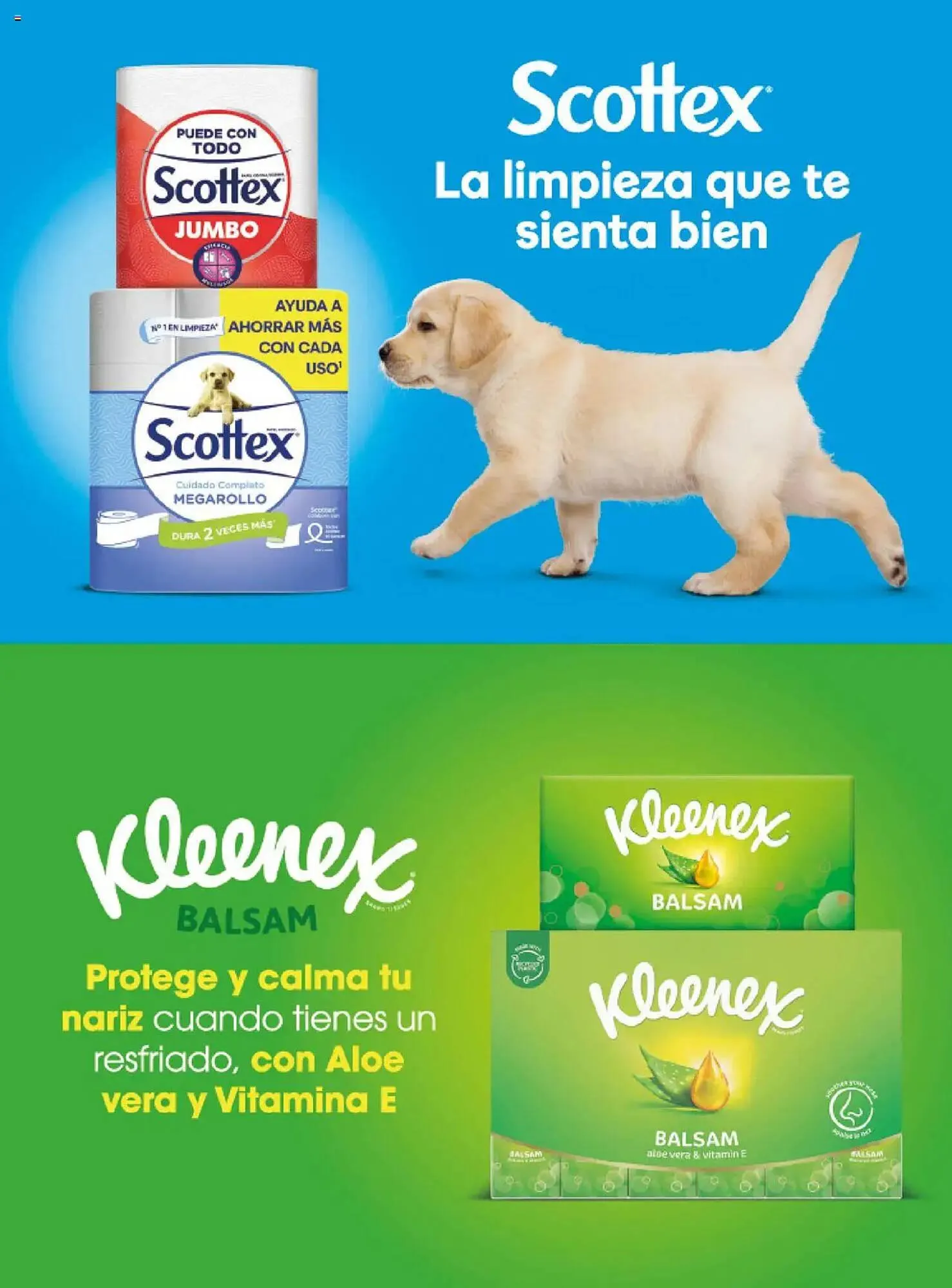 Catálogo de Folleto Costco 3 de julio al 31 de agosto 2025 - Página 134