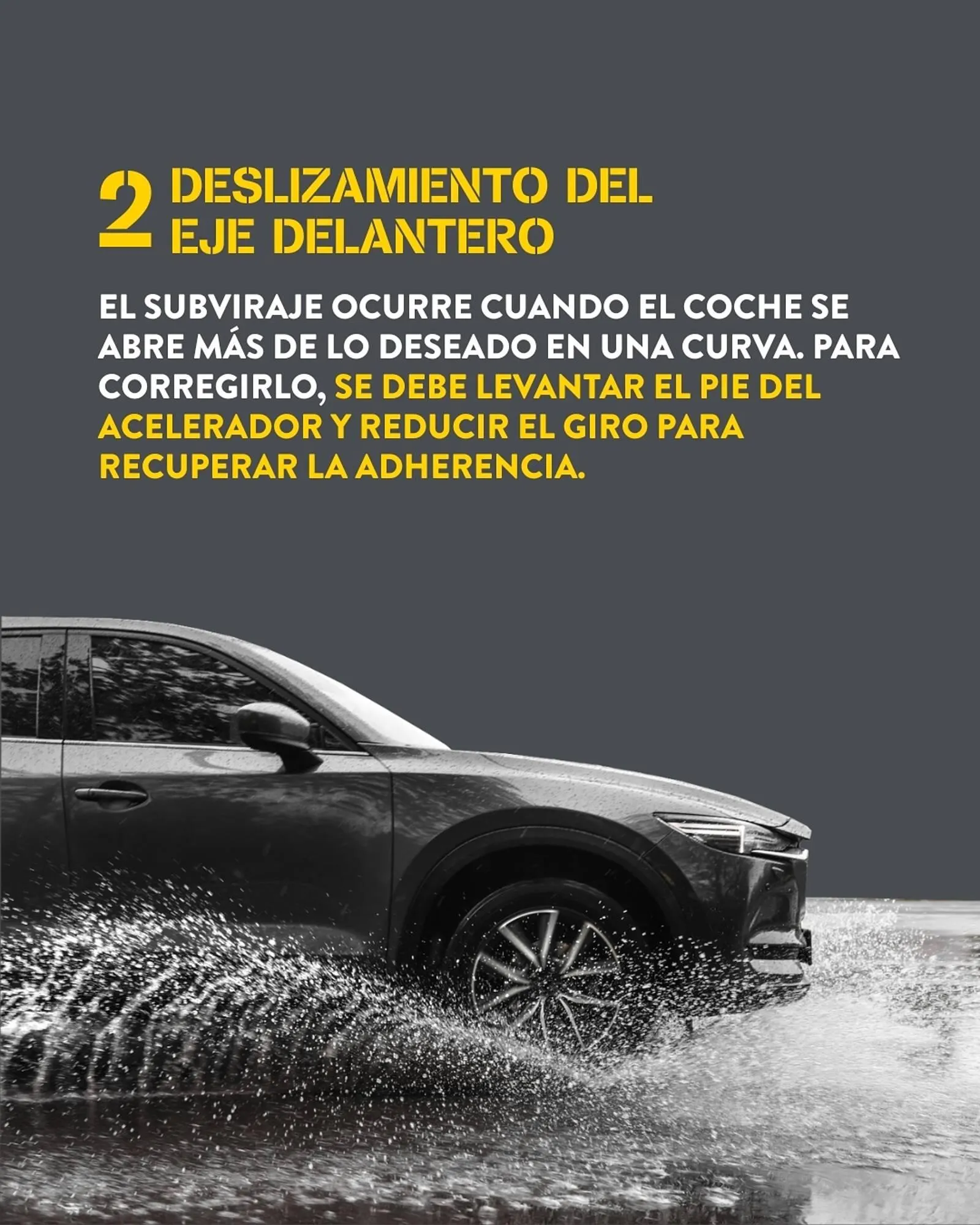 Catálogo de Folleto Rodi 11 de noviembre al 17 de noviembre 2025 - Página 3