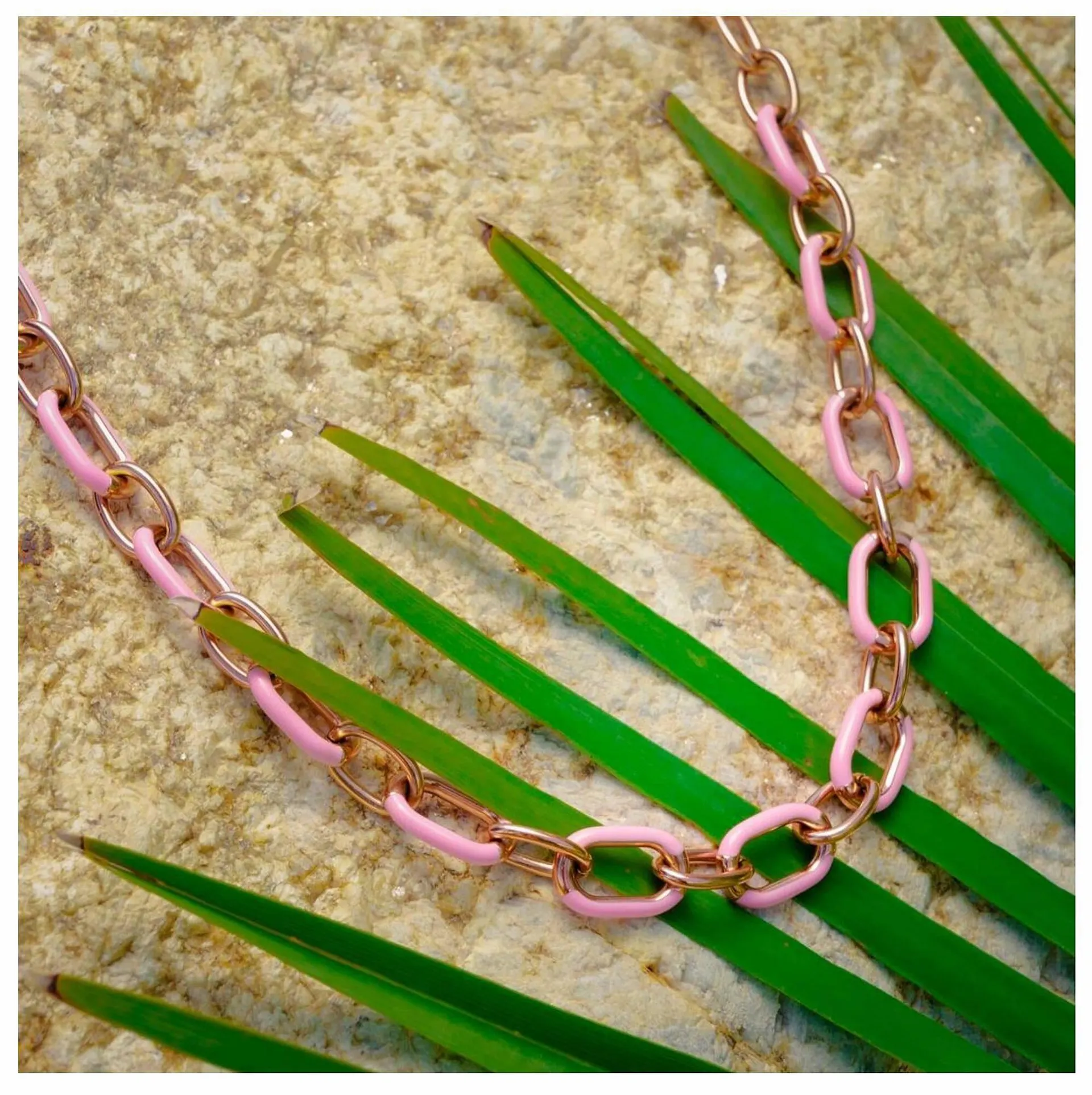 Catálogo de Folleto Time Road 10 de agosto al 10 de octubre 2023 - Página 2