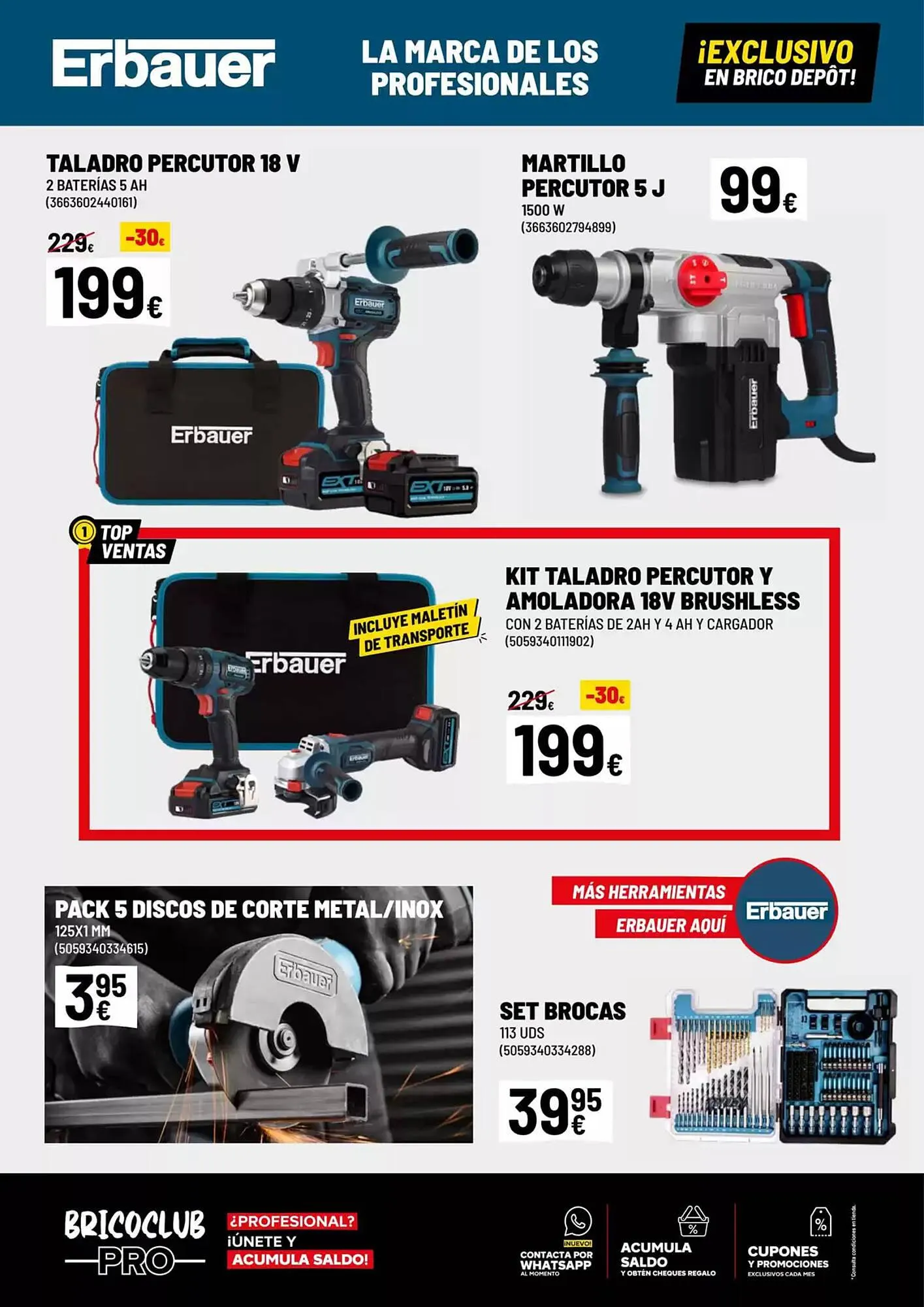 Catálogo de Folleto Brico Depôt 1 de noviembre al 4 de diciembre 2024 - Página 4