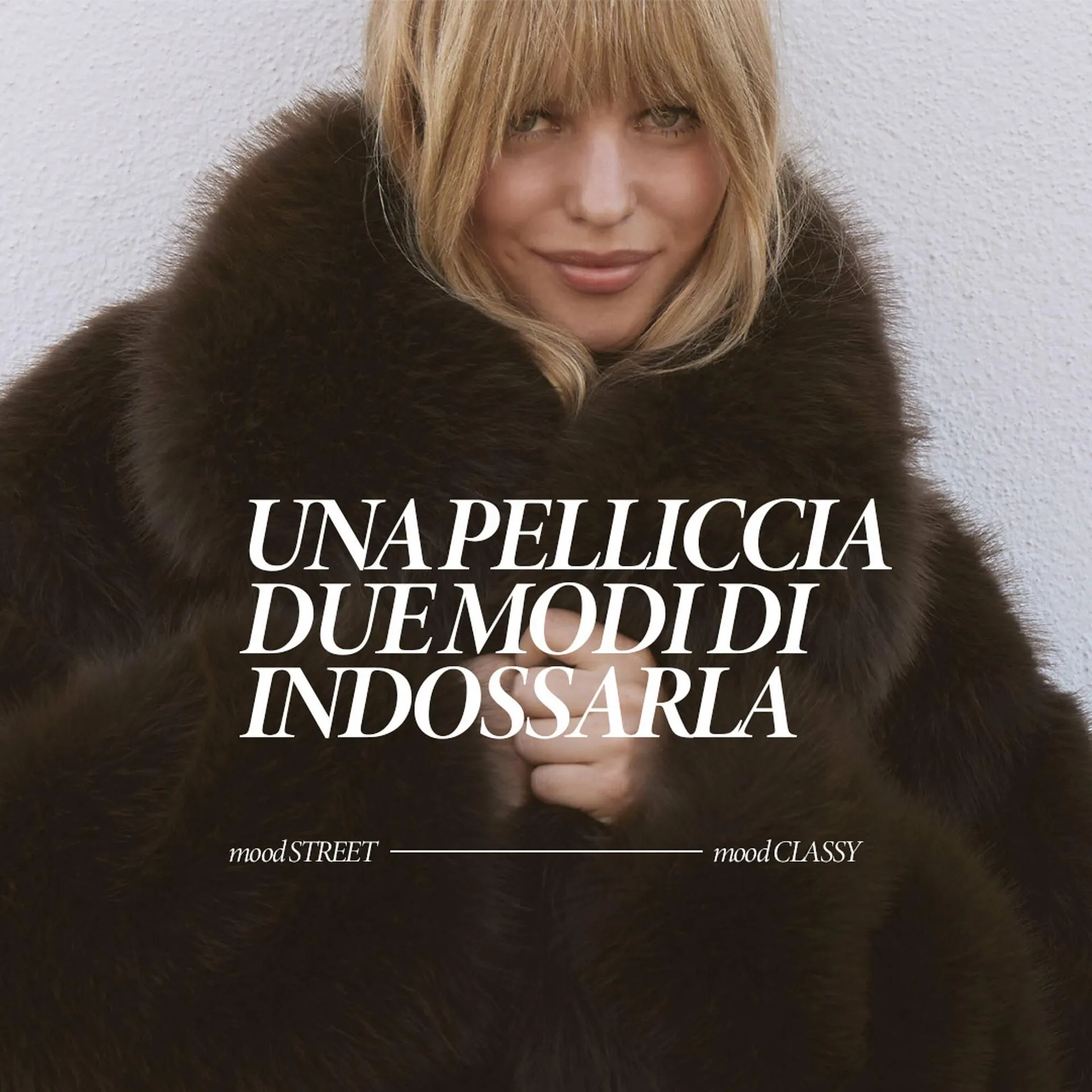 Catálogo de Folleto Terranova 2 de noviembre al 14 de noviembre 2025 - Página 1