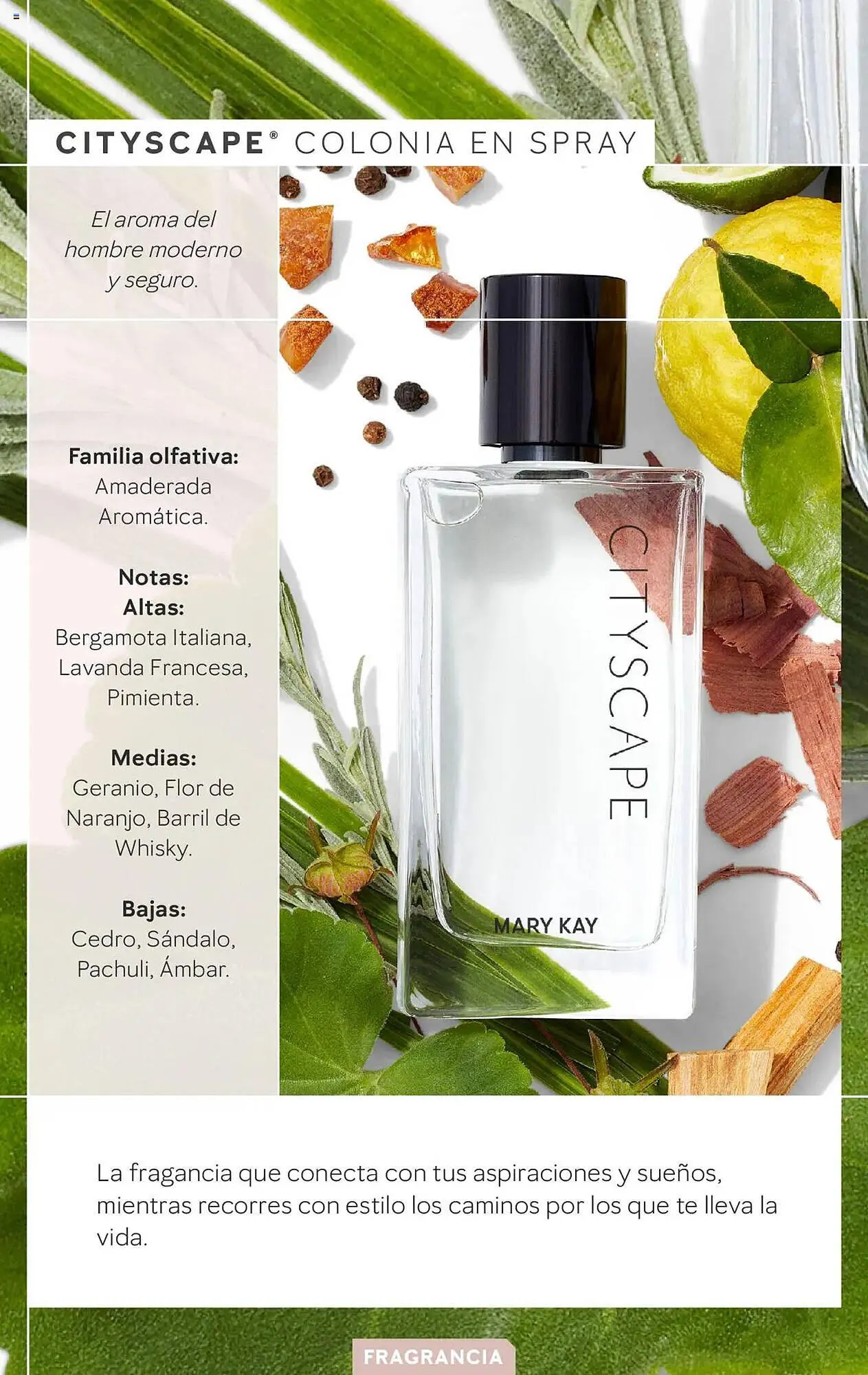 Catálogo de Folleto Mary Kay 11 de febrero al 30 de junio 2025 - Página 12