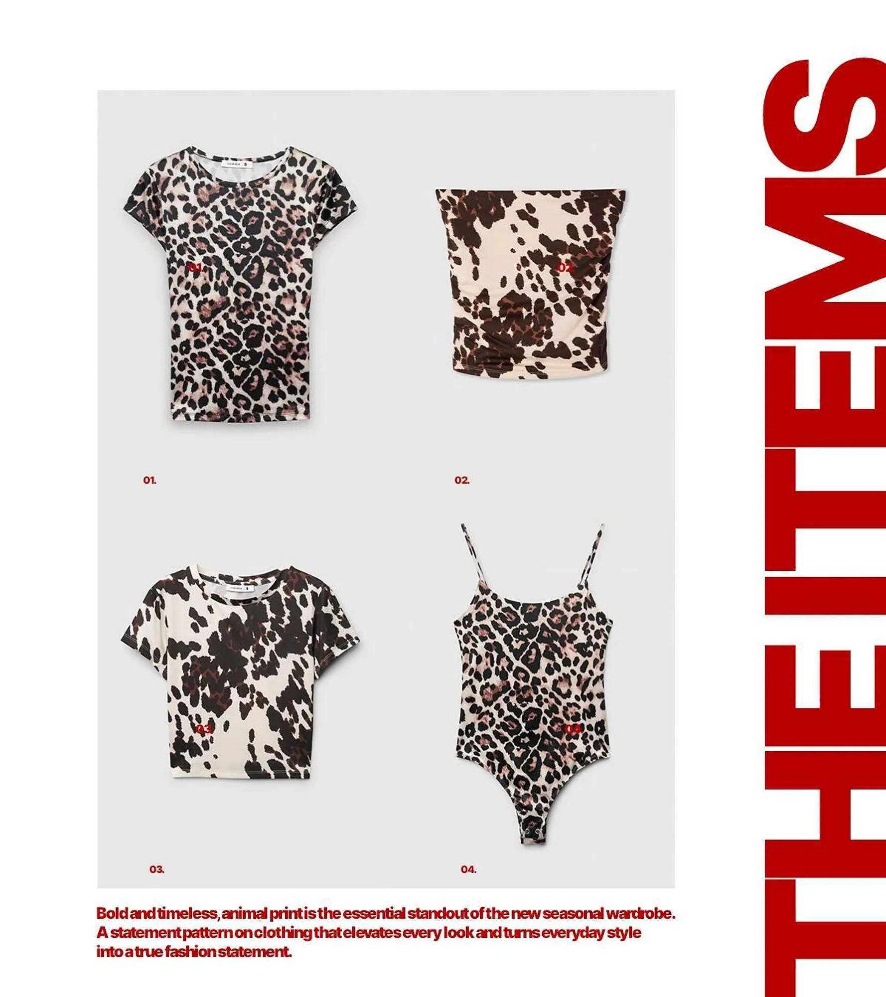 Catálogo de Folleto Terranova 6 de febrero al 12 de febrero 2026 - Página 2