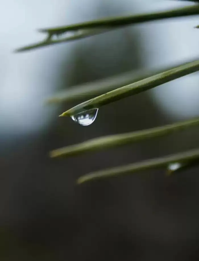 Catálogo de Todo en Baños 9 de enero al 31 de diciembre 2025 - Página 13