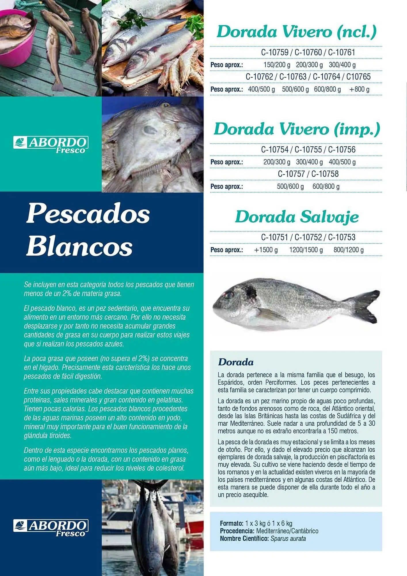 Catálogo de Folleto Abordo 5 de marzo al 30 de junio 2026 - Página 12