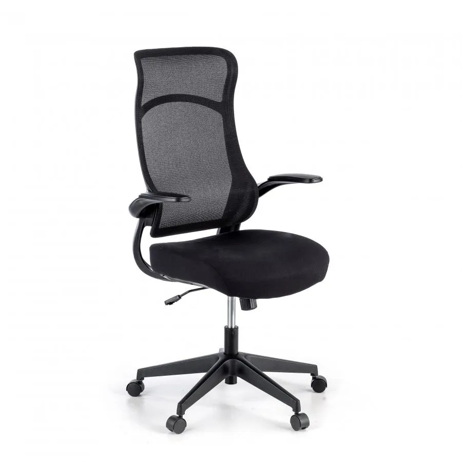 Silla de estudio Raptor, brazos plegables, respaldo ergonómico - Negro