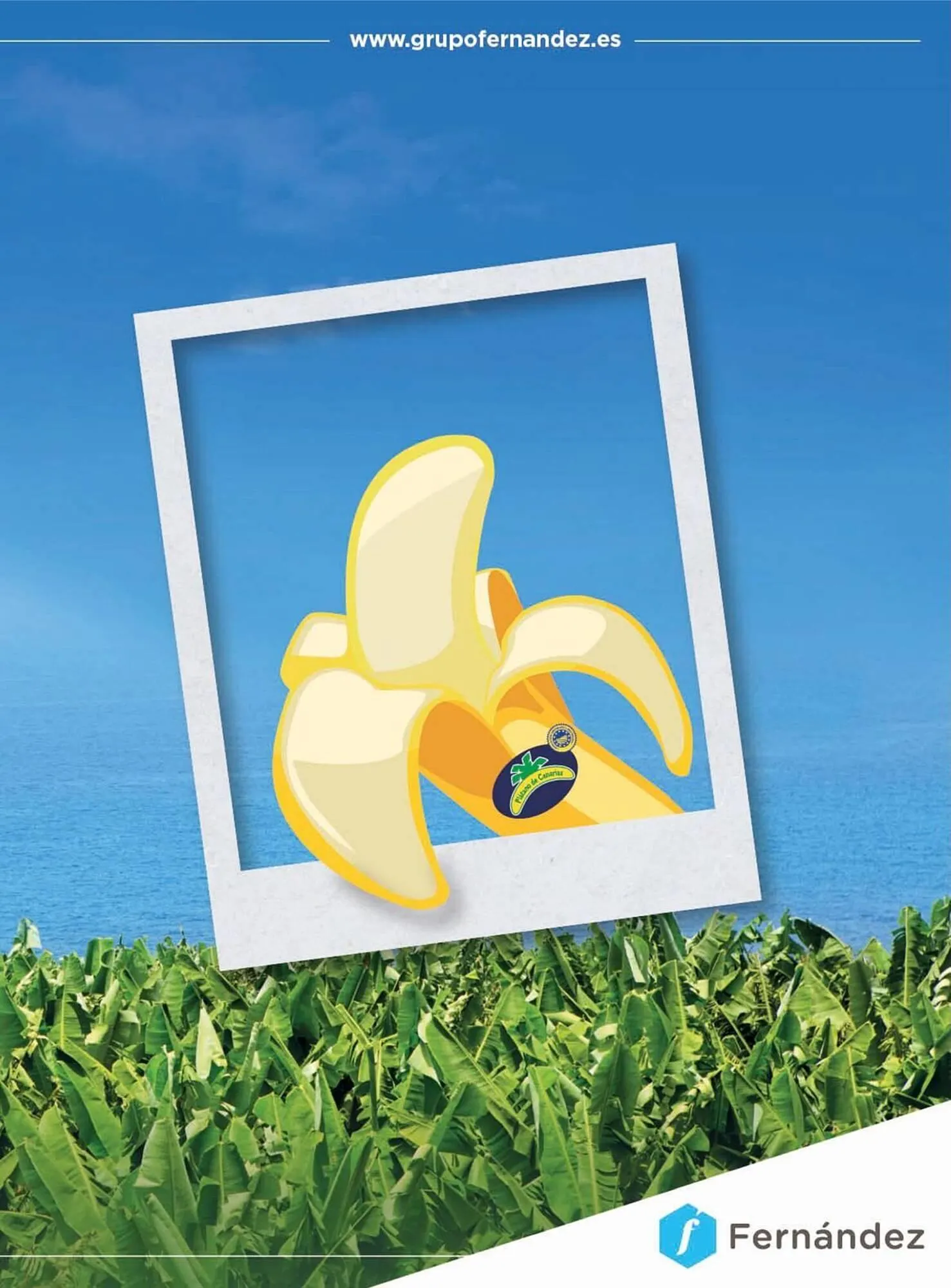 Catálogo de Catálogo Costco 25 de septiembre al 30 de noviembre 2025 - Página 41