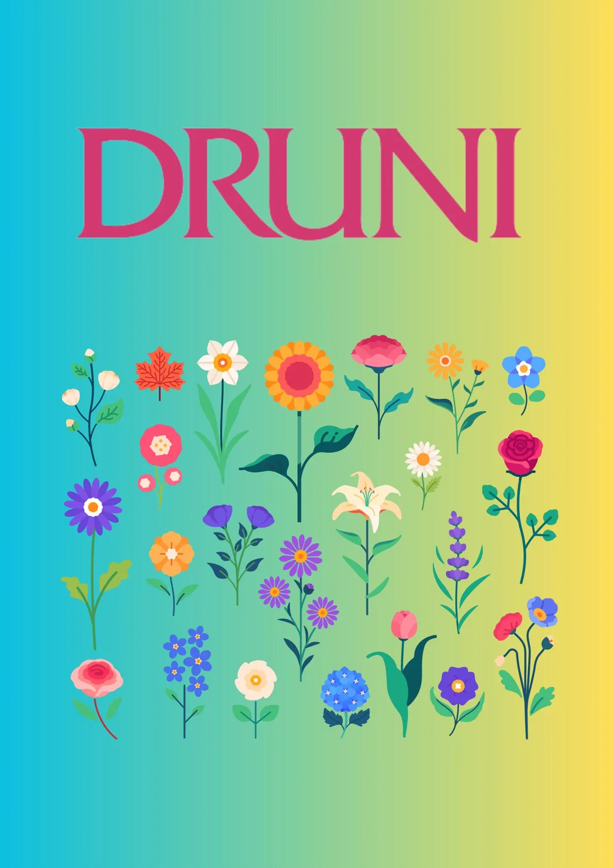 Druni - 1