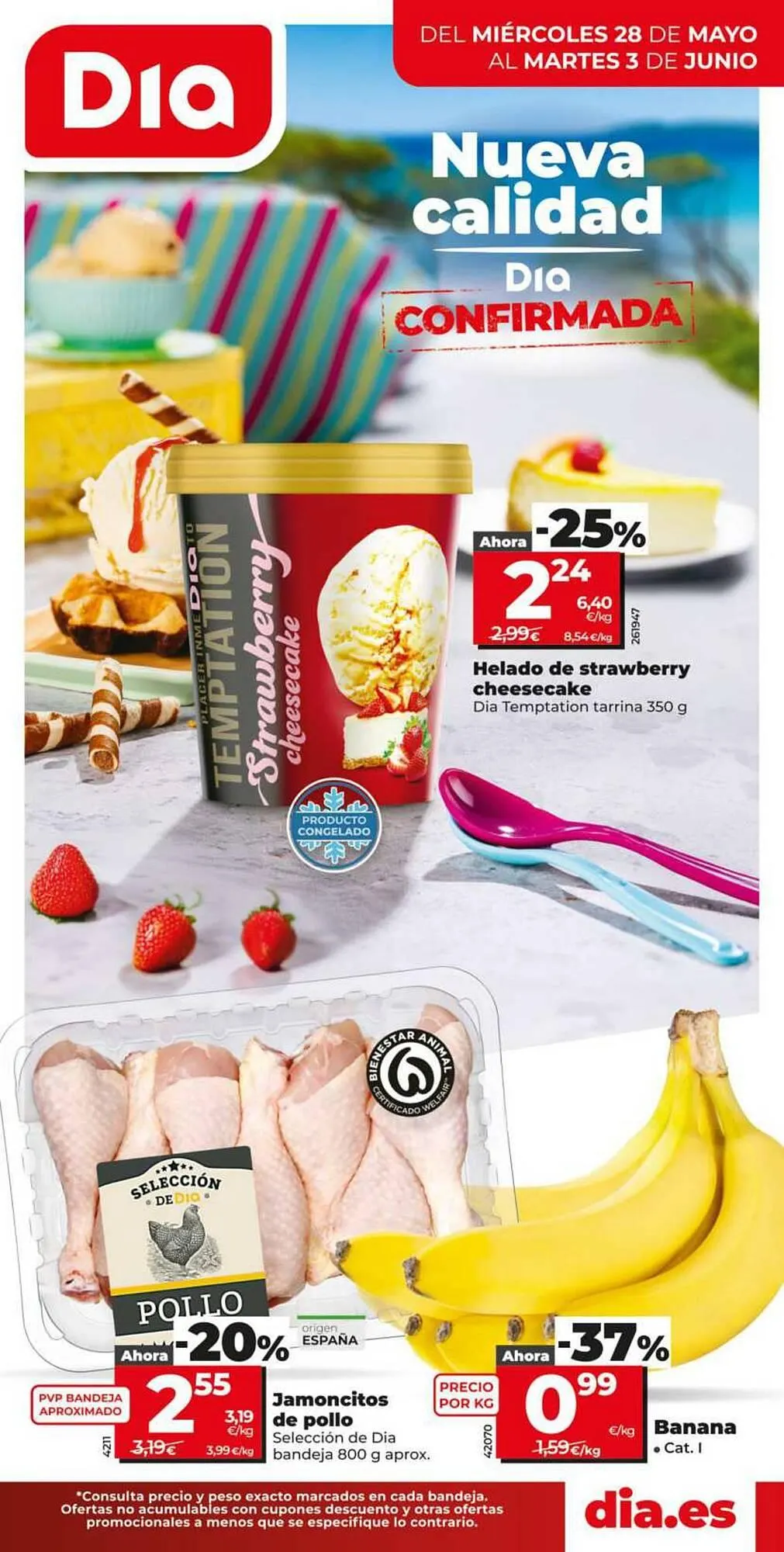 Folleto Maxi Dia - 1