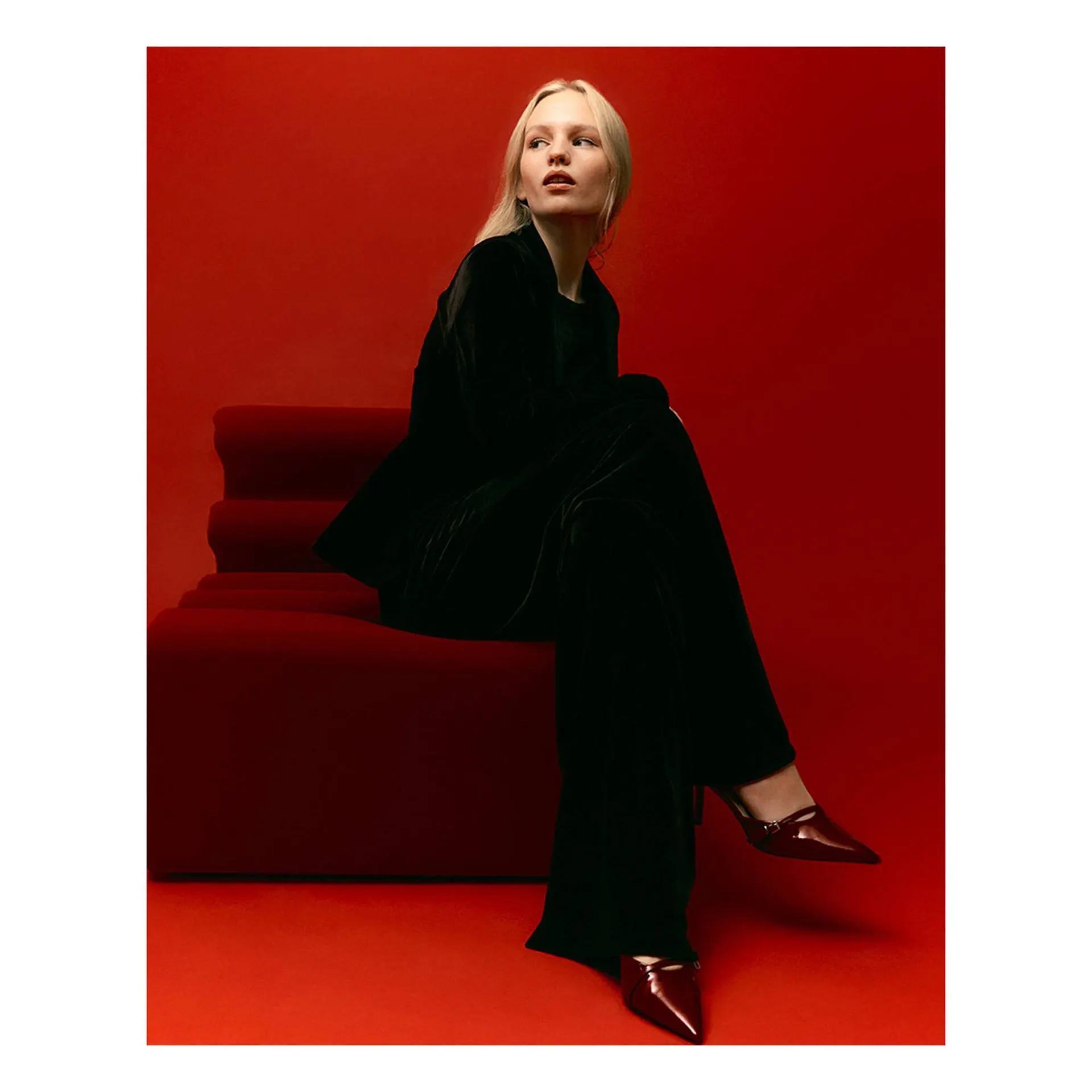 Catálogo de Folleto Terranova 21 de octubre al 3 de noviembre 2025 - Página 2