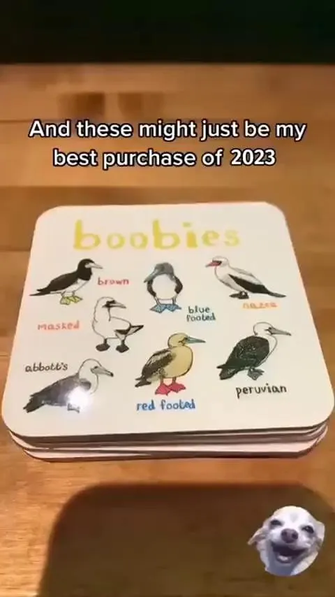 juego de 6 posavasos de juego de pájaros, posavasos de escritorio, posavasos cuadrado de pájaro, mesa creativa, posavasos de té antideslizante