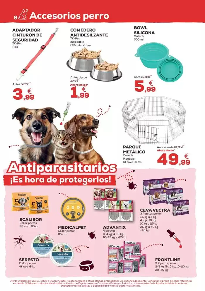 Catálogo de Díselo con amor, díselo con Kiwoko 30 de enero al 27 de febrero 2025 - Página 8