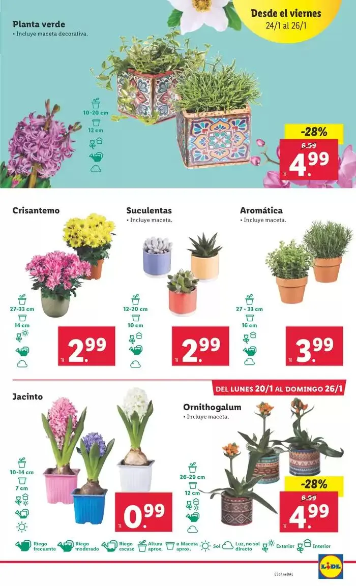 Catálogo de № 1 PRECIO - Ofertas válidas del 20/01 al 26/01 20 de enero al 26 de enero 2025 - Página 25