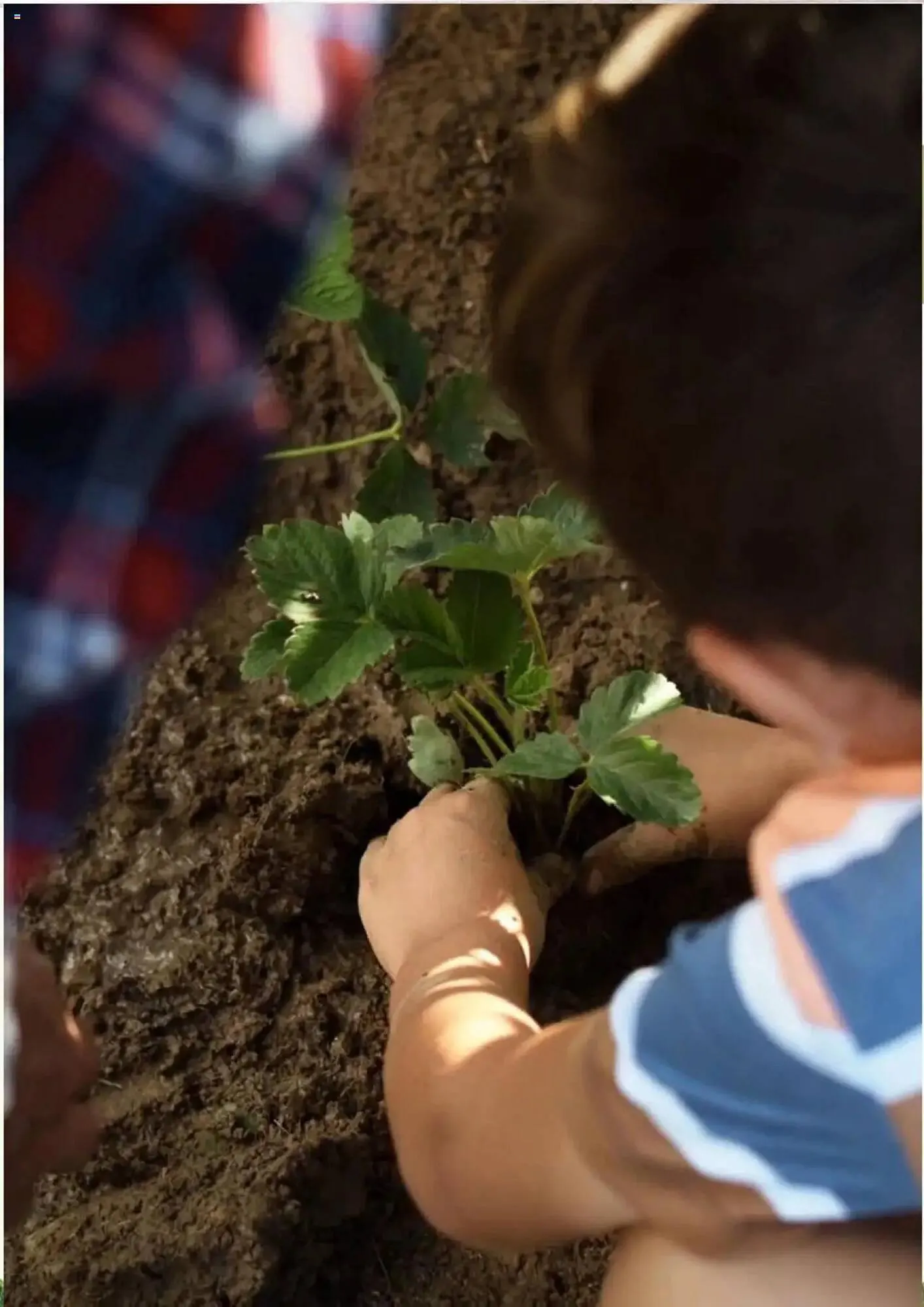 Catálogo de Folleto Alcampo 11 de febrero al 31 de diciembre 2025 - Página 4