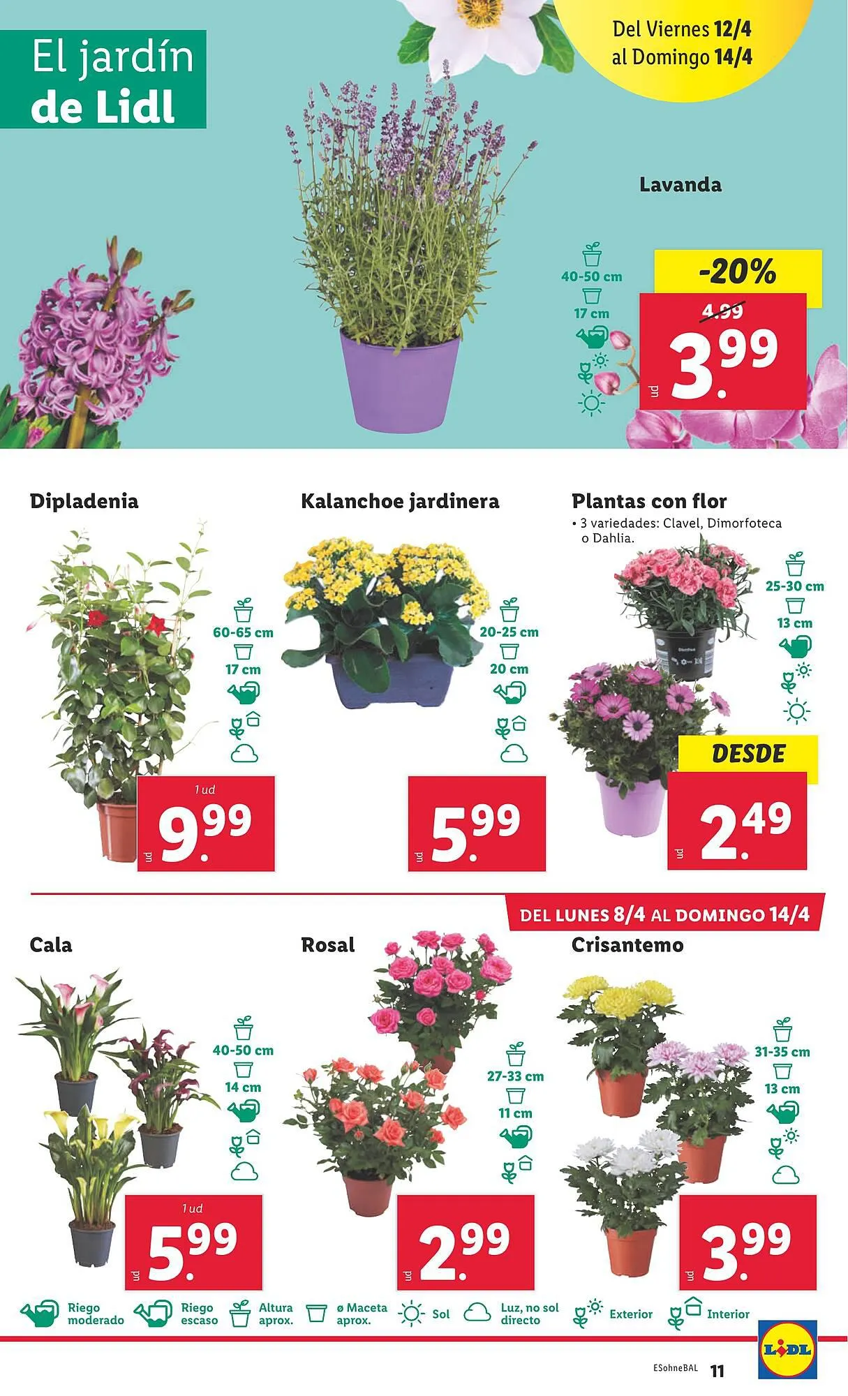 Catálogo de Folleto inLidl 8 de abril al 14 de abril 2024 - Página 11