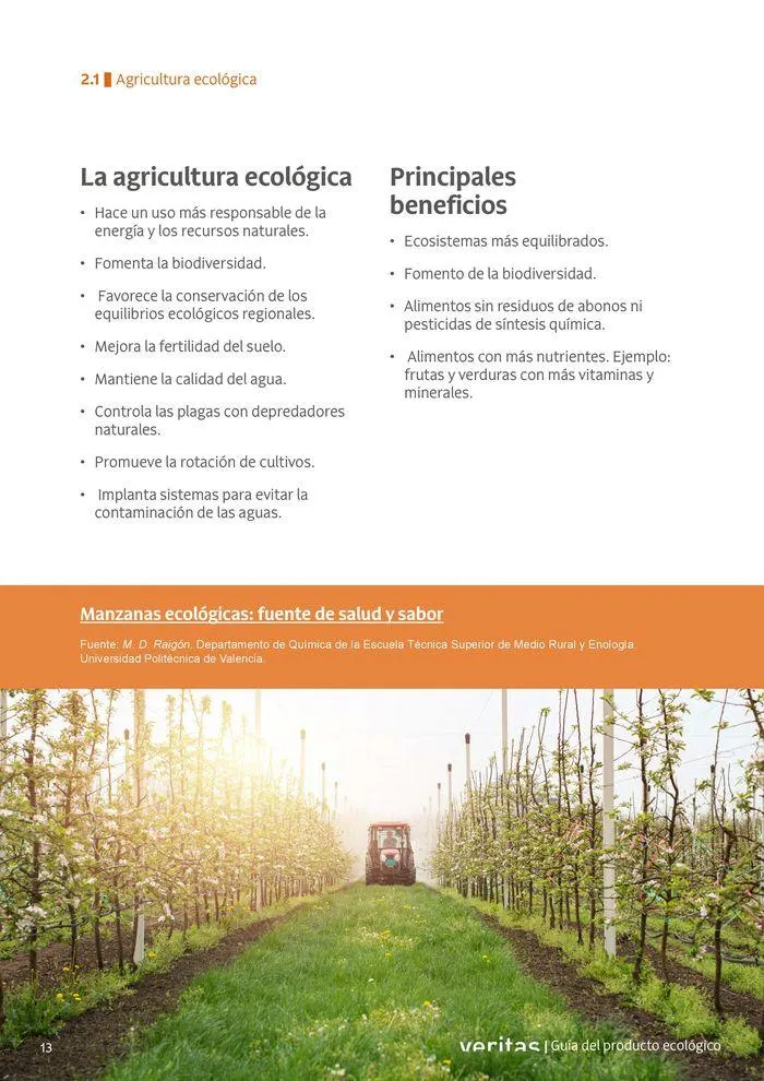 Catálogo de Veritas ABC productos ecológicos 2 de septiembre al 31 de diciembre 2024 - Página 13