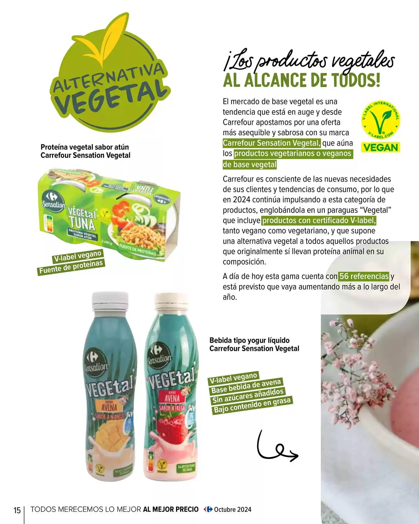 Catálogo de Folleto Carrefour 29 de enero al 30 de abril 2025 - Página 16