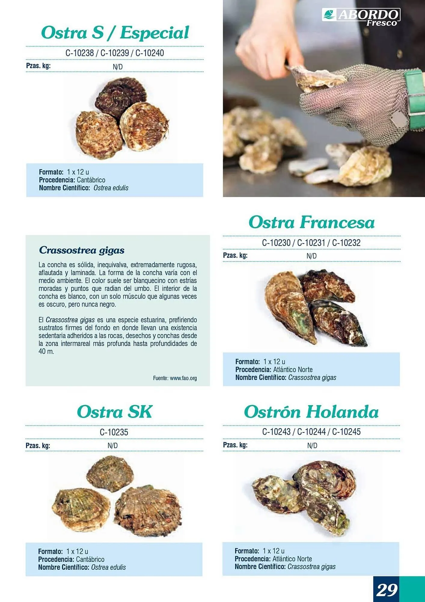 Catálogo de Folleto Abordo 5 de marzo al 30 de junio 2026 - Página 29
