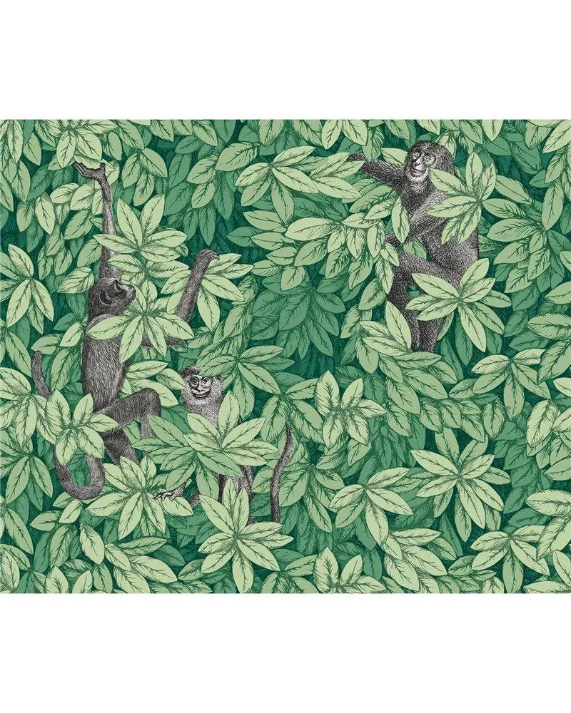 PAPEL PINTADO Foglie e Scimmie Forest Green 123-10049