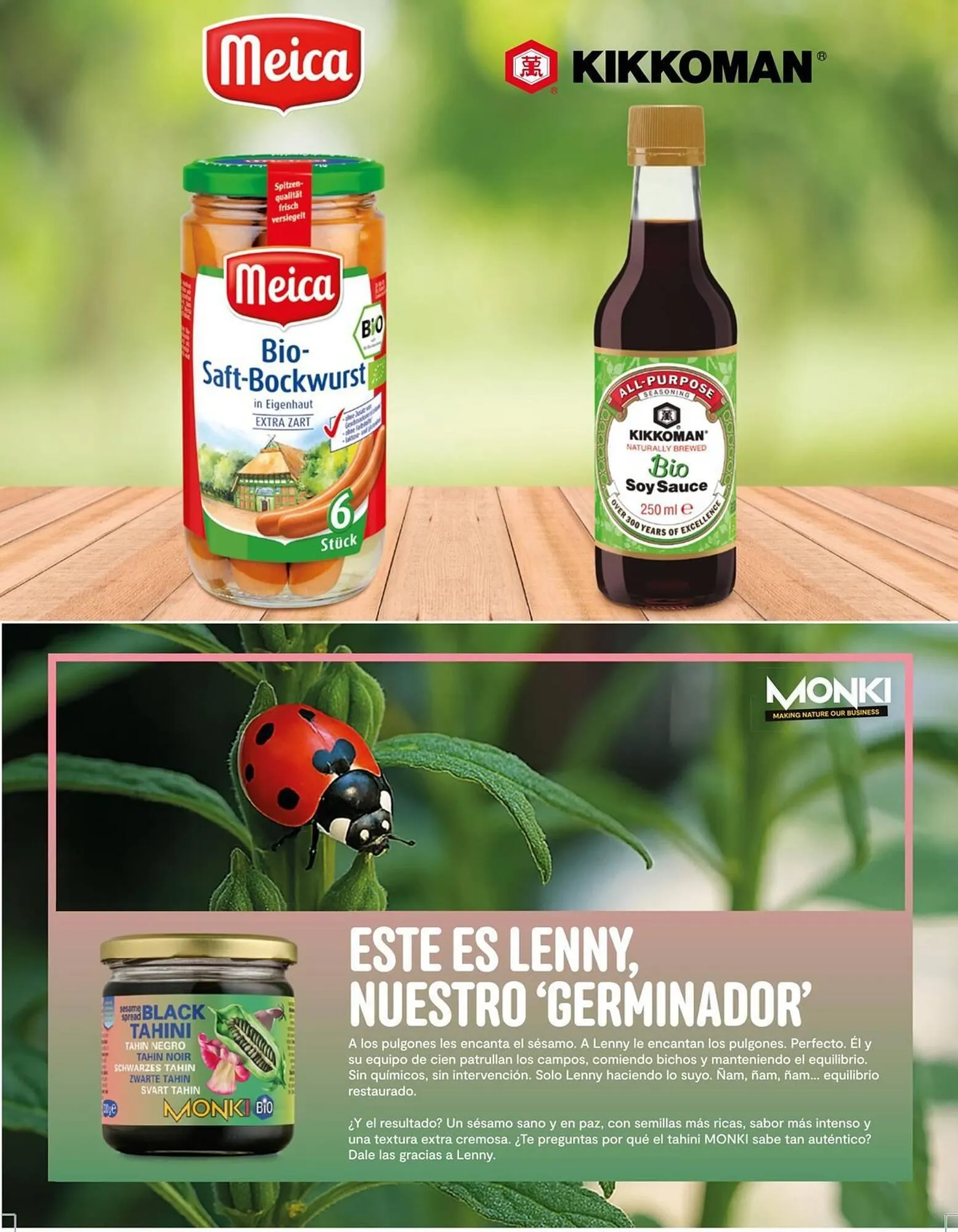 Catálogo de Catálogo Veritas 1 de diciembre al 31 de diciembre 2025 - Página 29