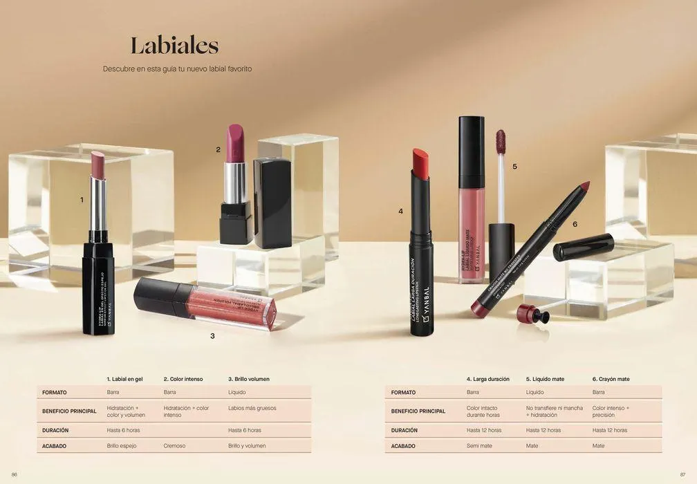 Catálogo de CATÁLOGO ANUAL 2024 12 de junio al 31 de diciembre 2024 - Página 44