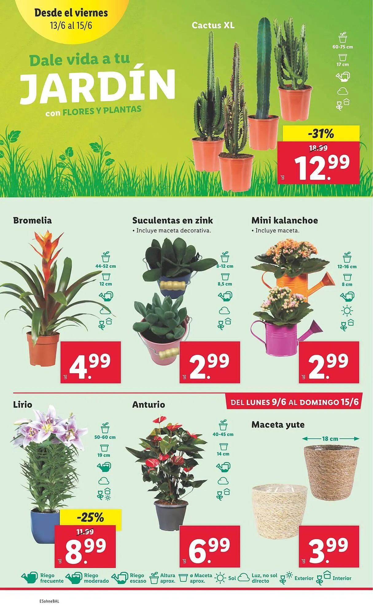 Catálogo de Folleto Lidl 9 de junio al 15 de junio 2025 - Página 10