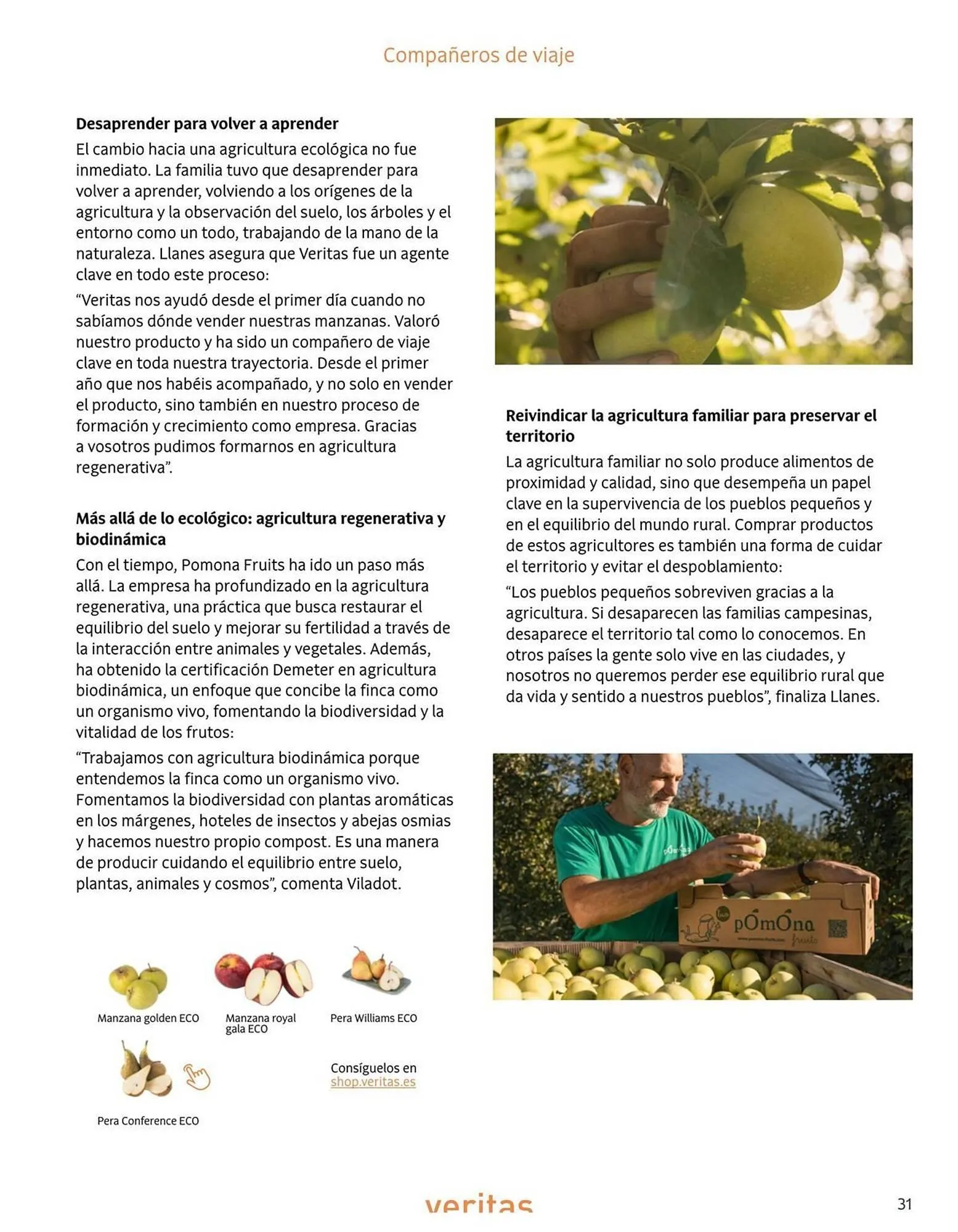 Catálogo de Catálogo Veritas 1 de noviembre al 30 de noviembre 2025 - Página 31