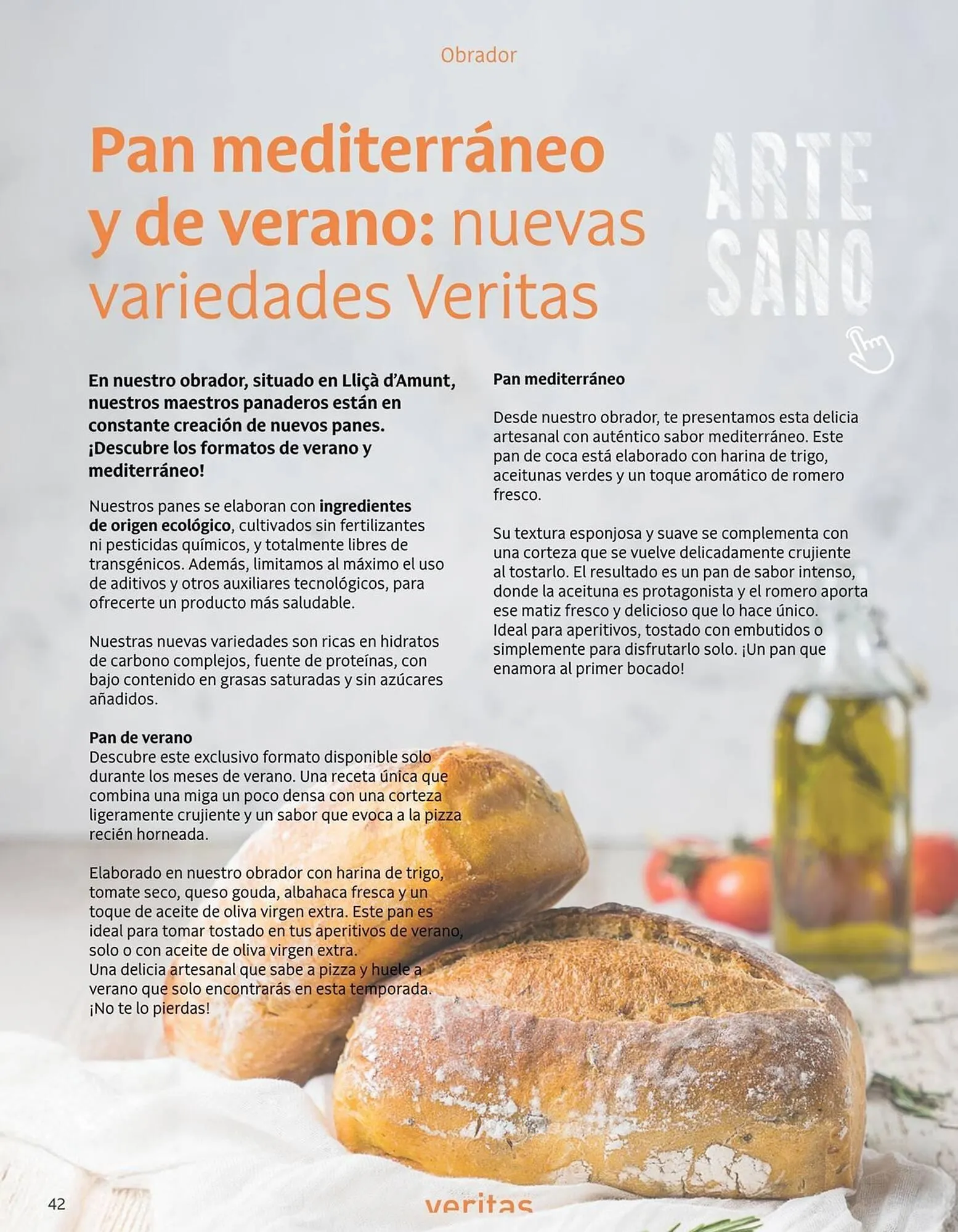 Catálogo de Folleto Veritas 1 de julio al 31 de agosto 2025 - Página 42