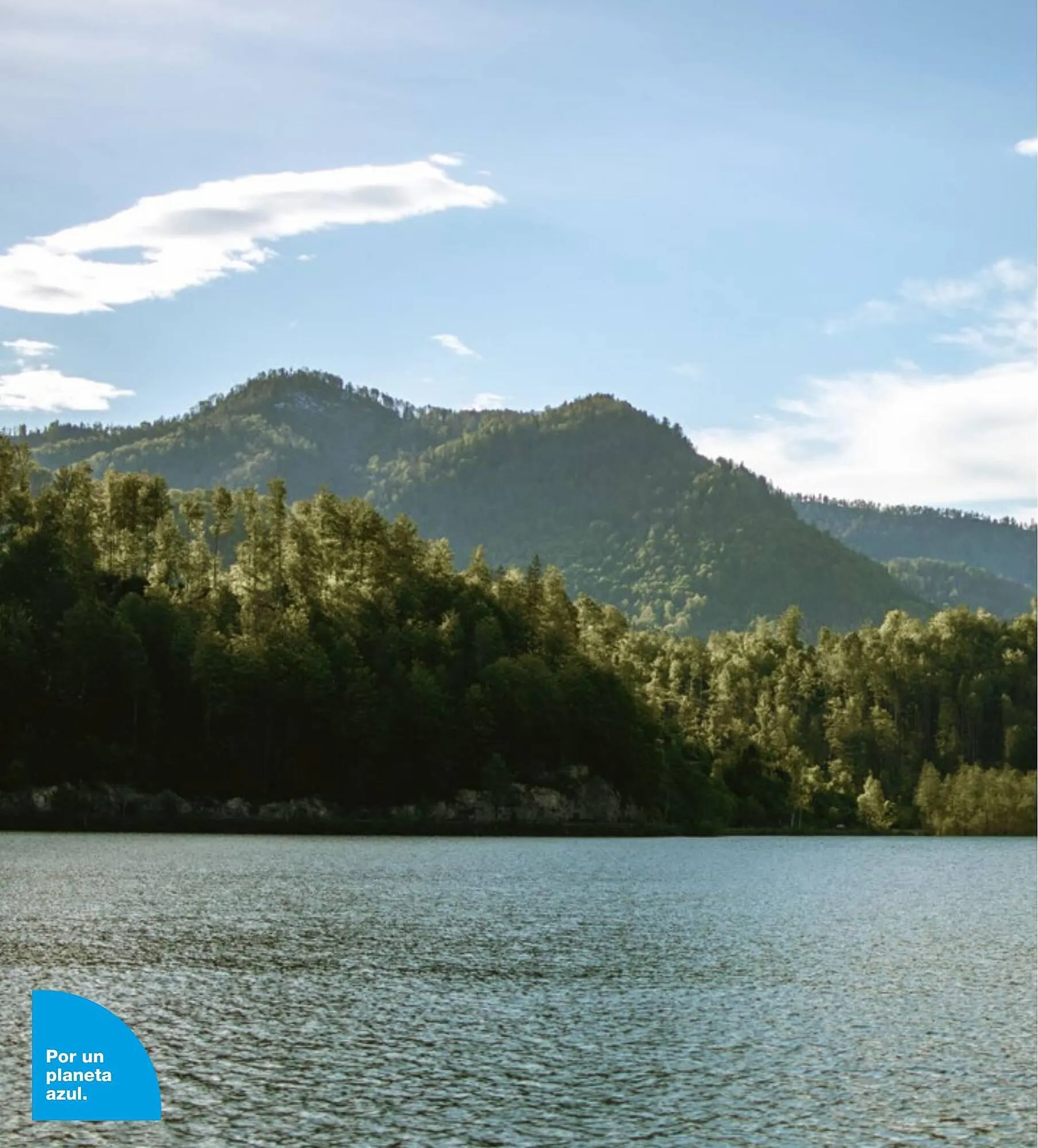 Catálogo de Folleto Grup Gamma 27 de julio al 30 de julio 2023 - Página 7