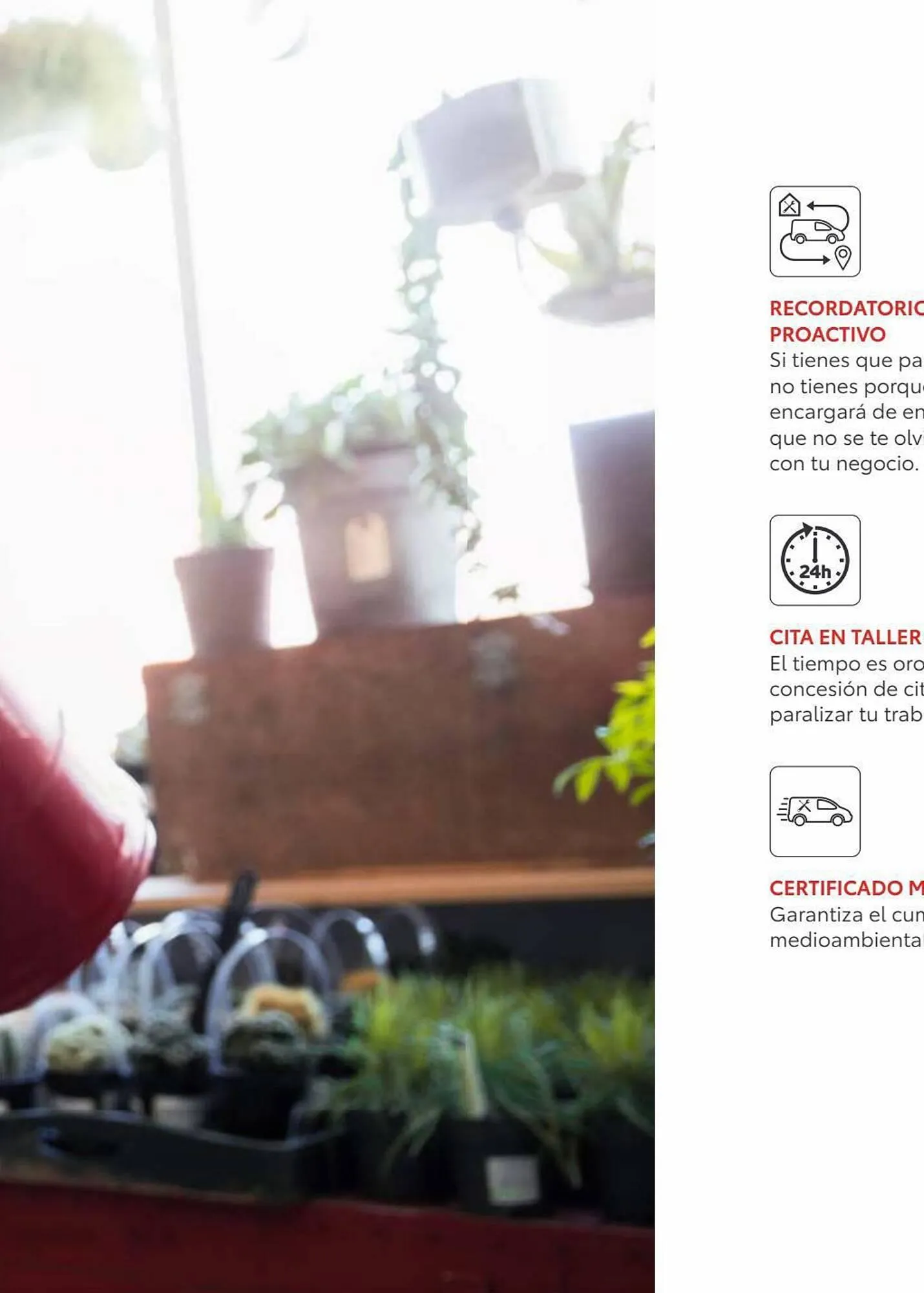 Catálogo de Folleto Toyota 8 de enero al 8 de enero 2024 - Página 112