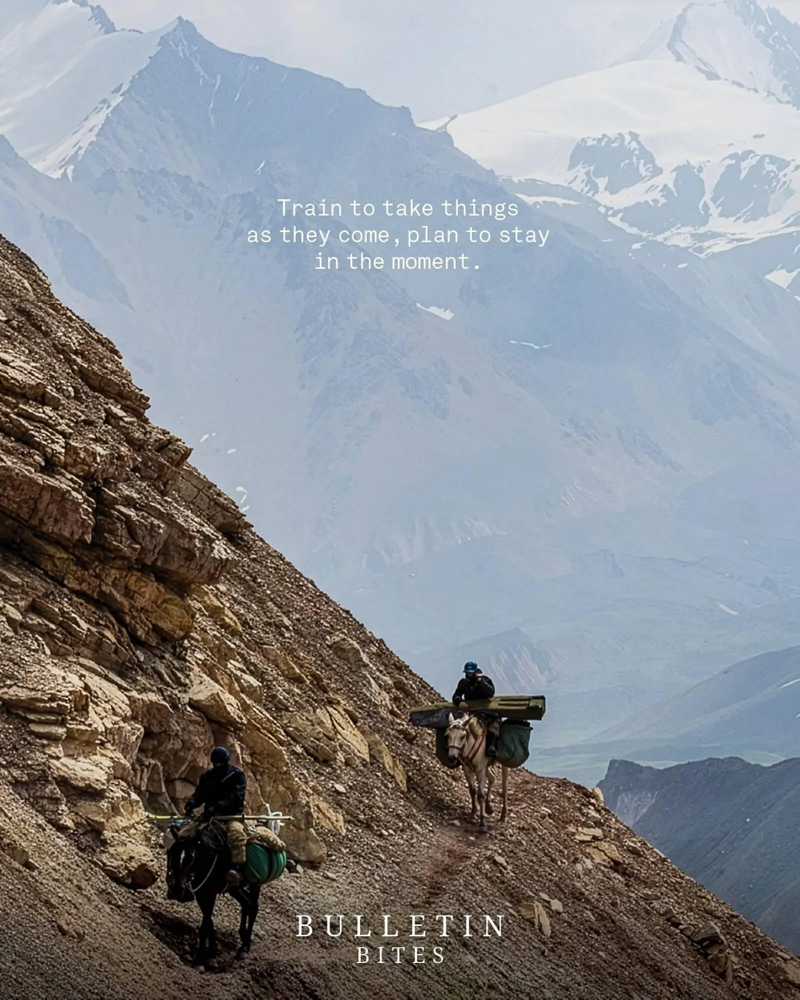 Catálogo de Folleto Napapijri 13 de diciembre al 19 de diciembre 2025 - Página 5