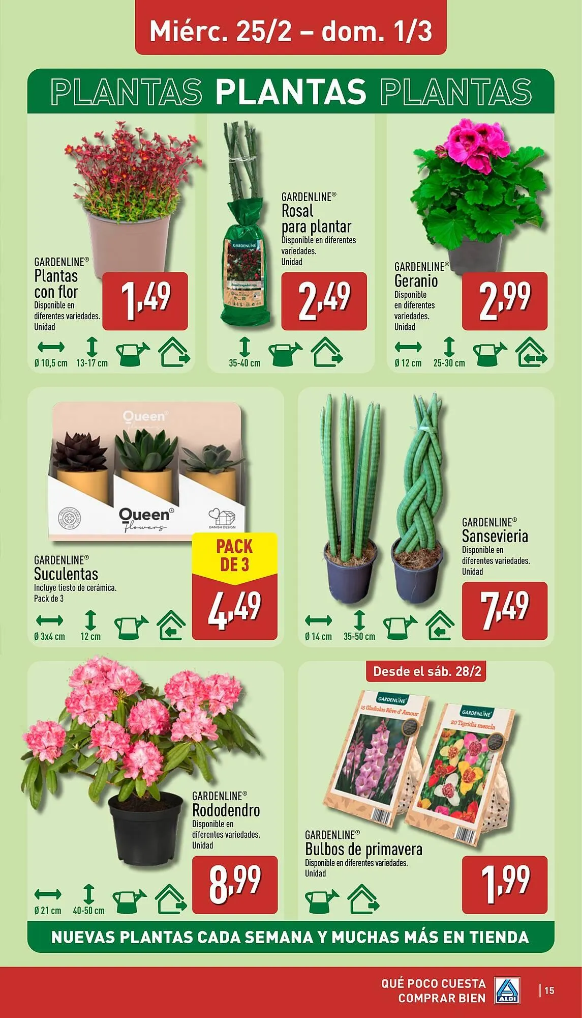 Catálogo de Folleto ALDI 23 de febrero al 1 de marzo 2026 - Página 15