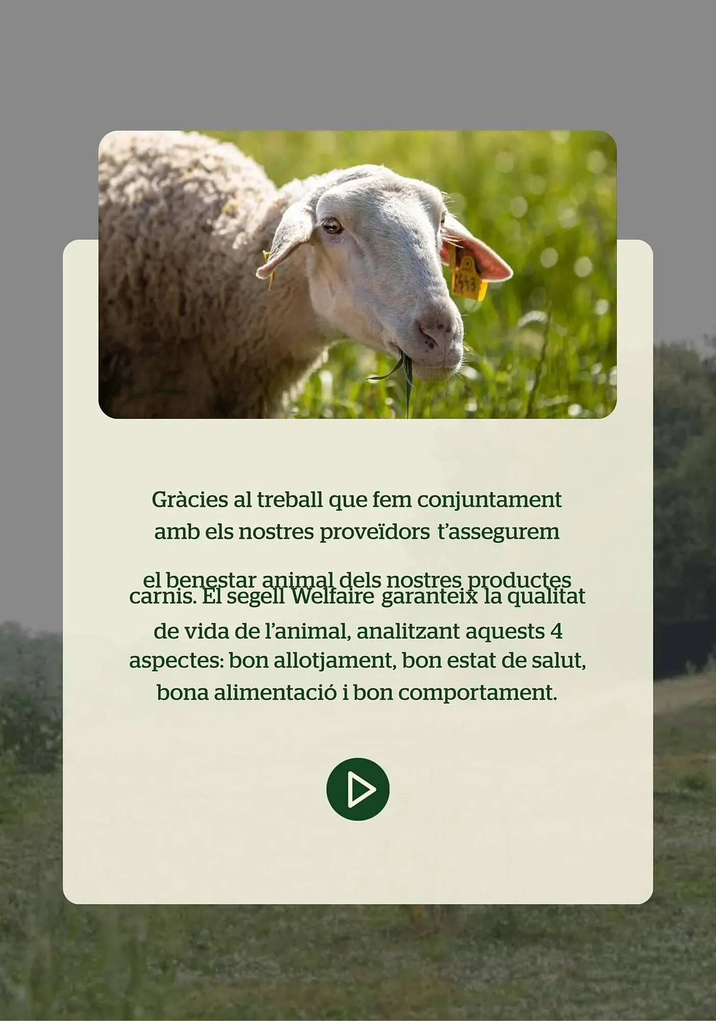 Catálogo de Folleto BonpreuEsclat 30 de enero al 30 de junio 2026 - Página 15